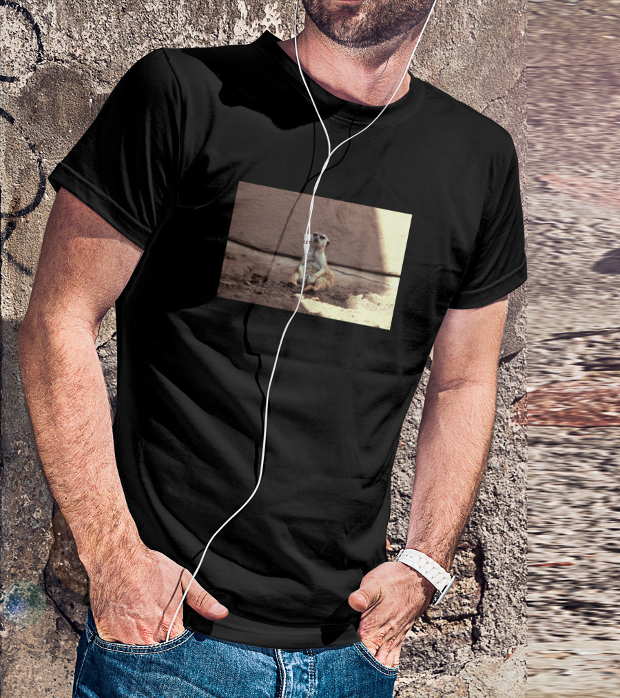 Mood Sitting Meerkat Relaxation Dirt Sunlight T-Shirt