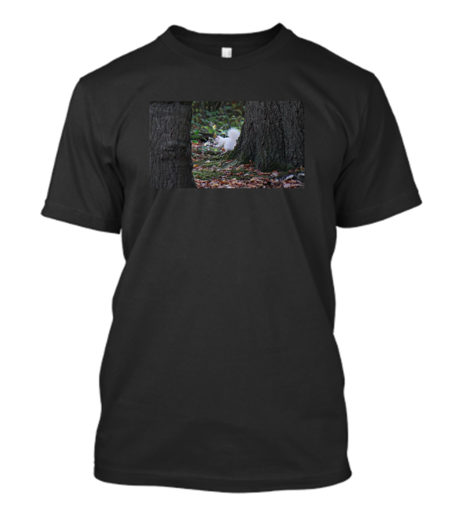 White Squirrel Hidden Among Trees And Leaves T-Shirt
