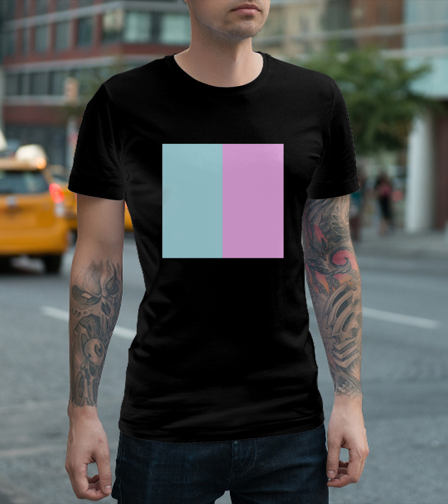 Color Combination Teal Pink Contrast T-Shirt
