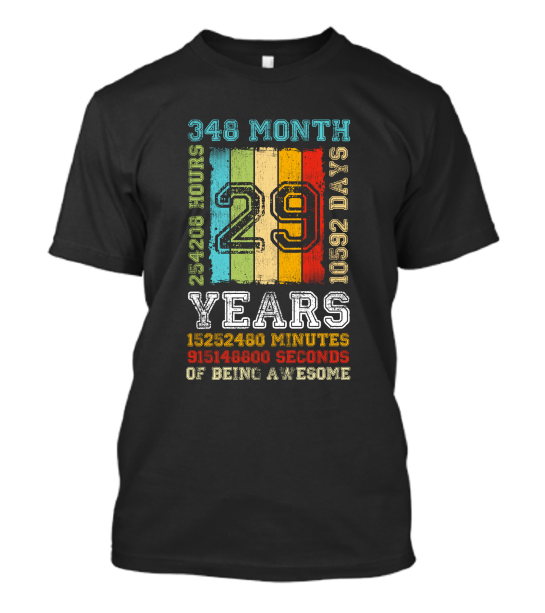 348 Month 254208 Hours 10592 Days 29 Years 15252480 Minutes 915148800 Seconds Of Being Awesome T-Shirt