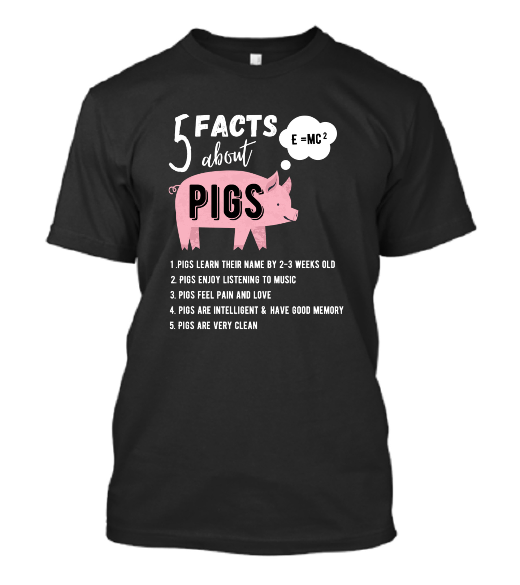 5 Facts About Pigs Pig Intelligence Music Clean Memory T-Shirt
