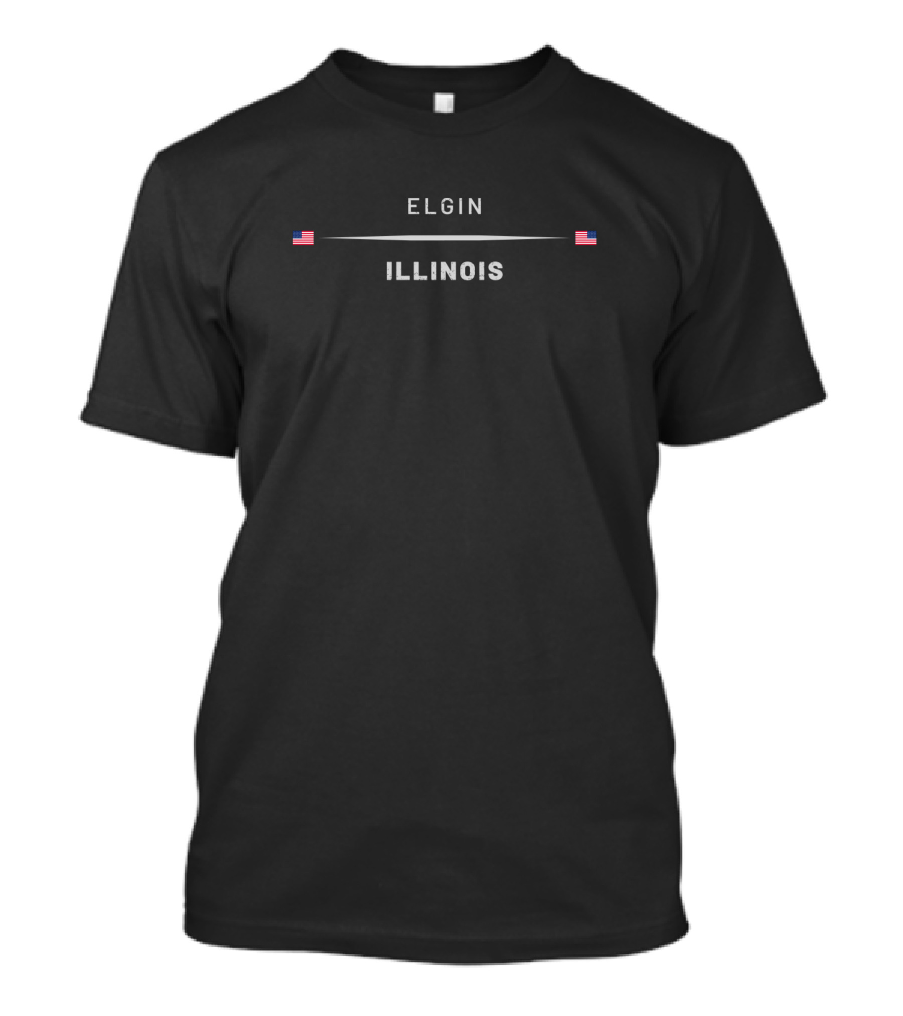 ELGIN ILLINOIS USA FLAGS T-Shirt