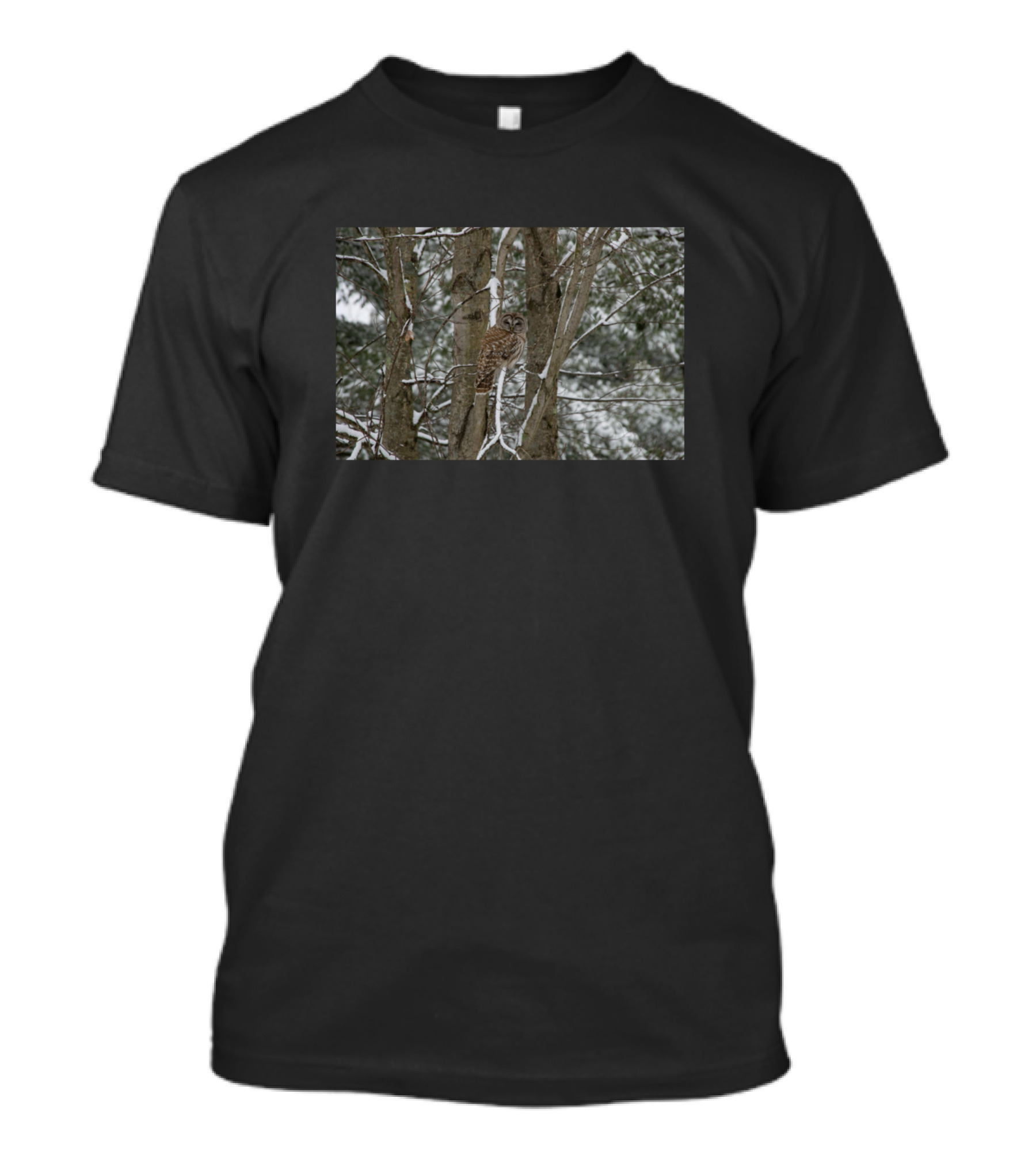 Barred Owl In Snowy Forest Setting T-Shirt