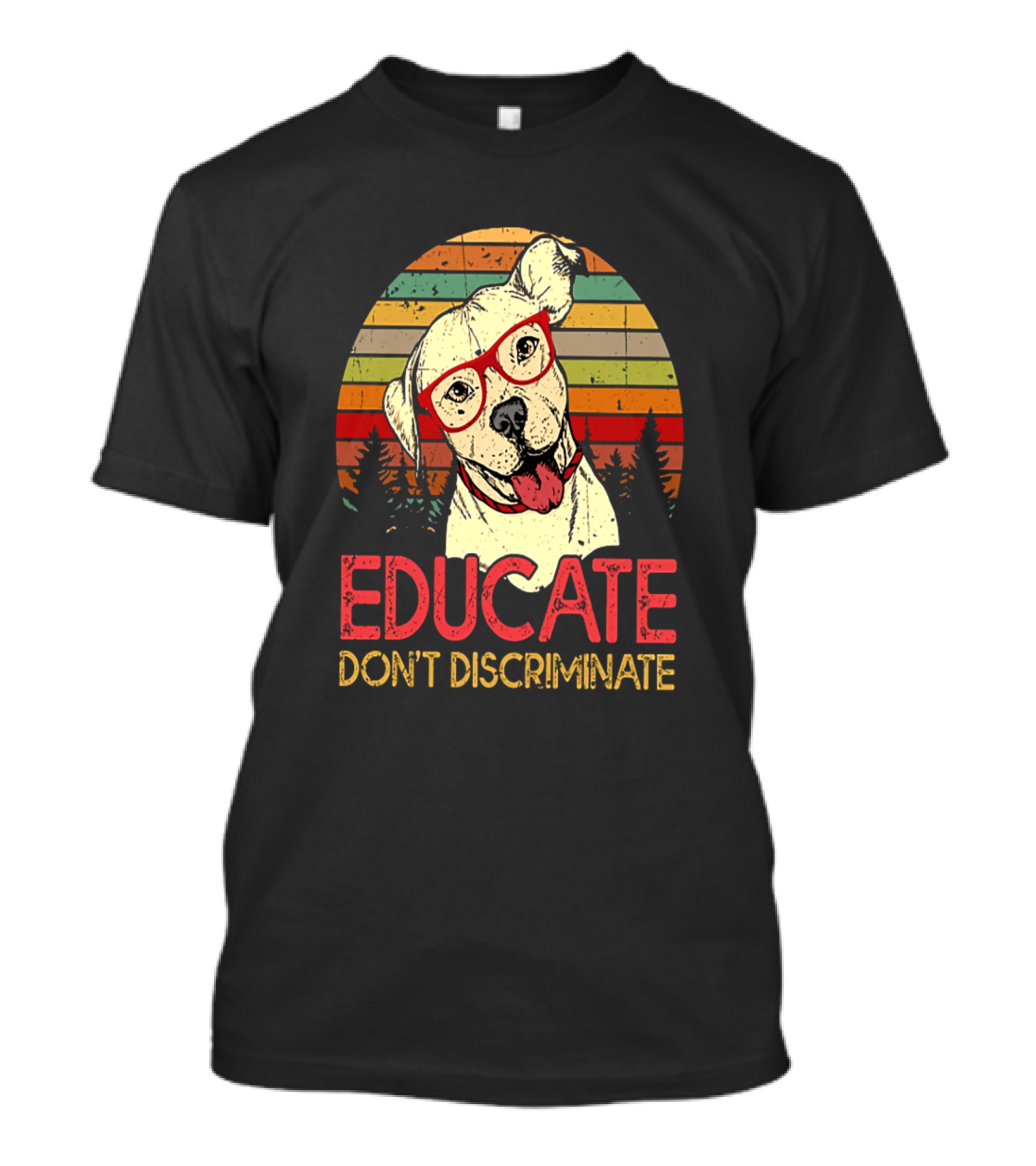 Retro Sunset Pitbull Educate Don't Discriminate T-Shirt