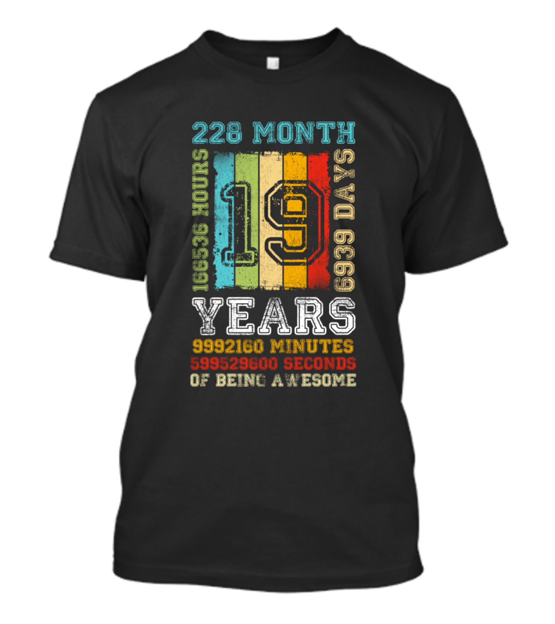 228 Month 19 Years 165536 Hours 6939 Days 9992160 Minutes 599529600 Seconds Of Being Awesome T-Shirt