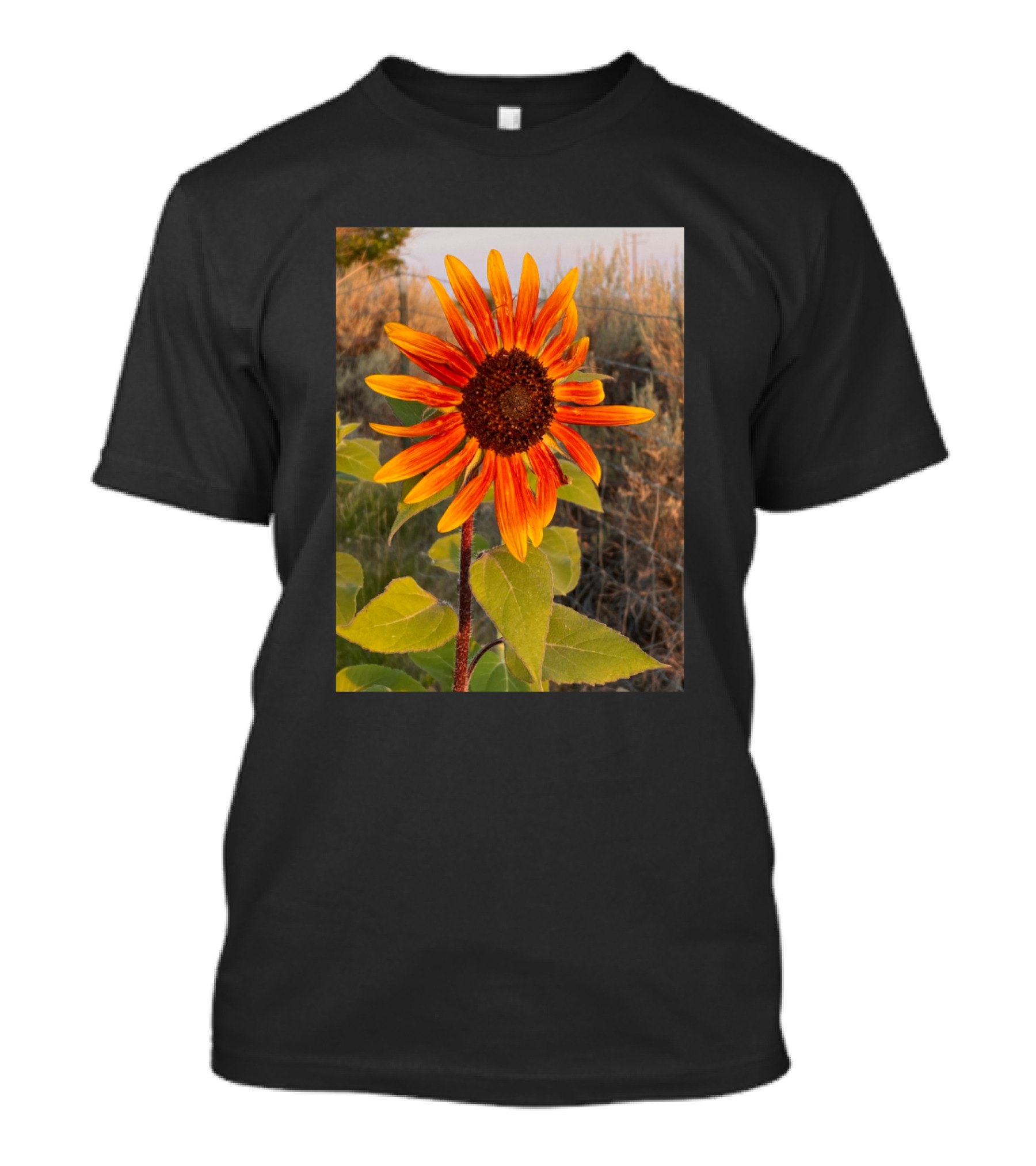 Orange Sunflower Nature Bright Vibrant Blooms T-Shirt