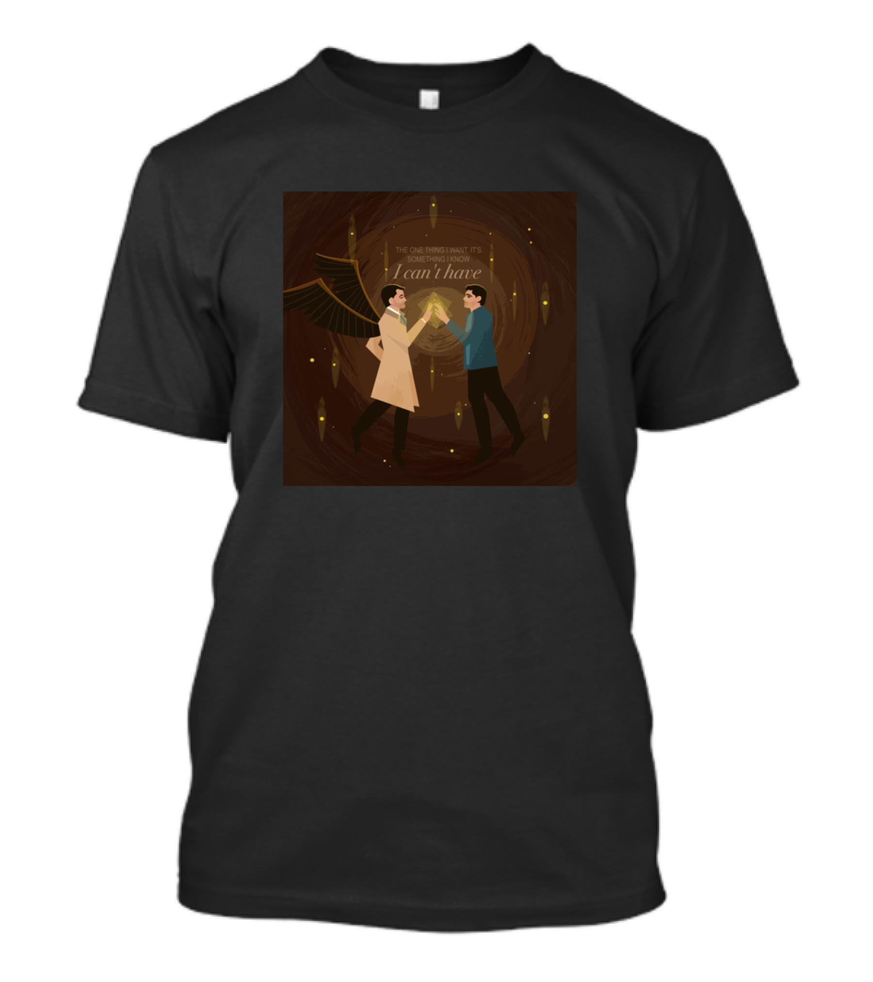 The One Thing I Want It's Something I Know I Can't Have T-Shirt