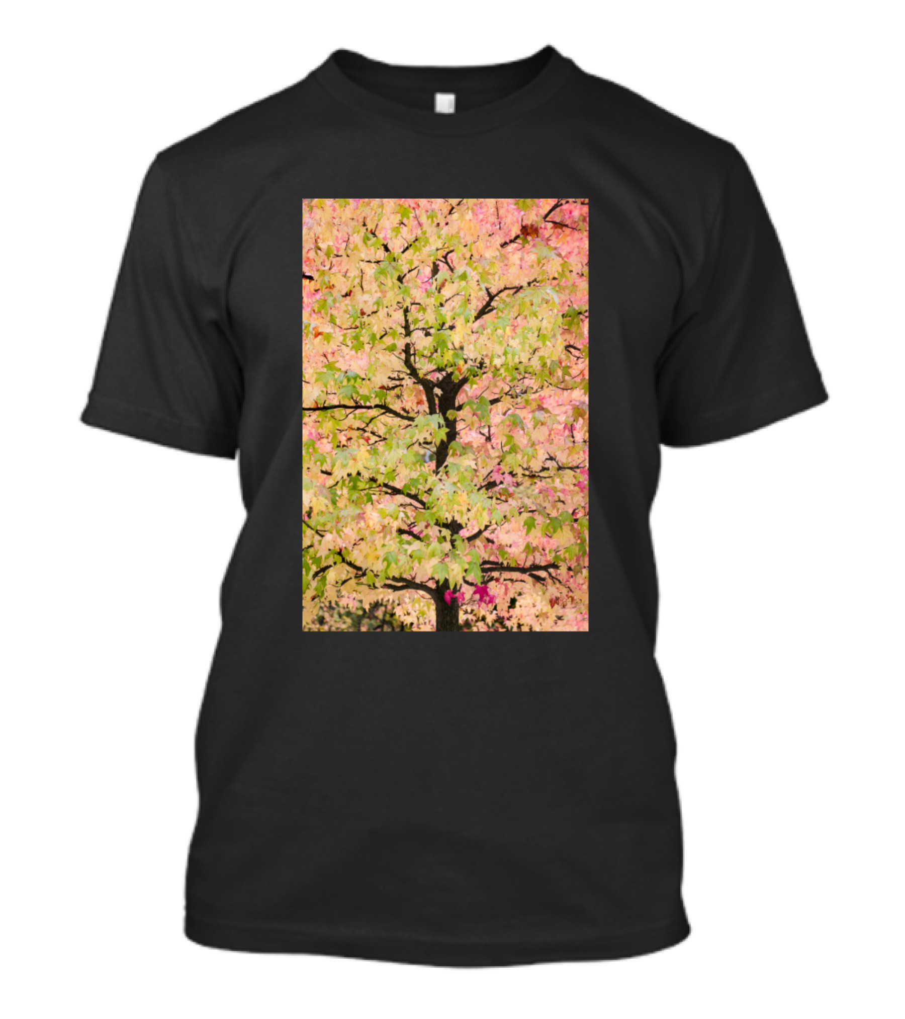 Colorful Fall Leaves On A Tree With Vibrant Autumn Foliage T-Shirt