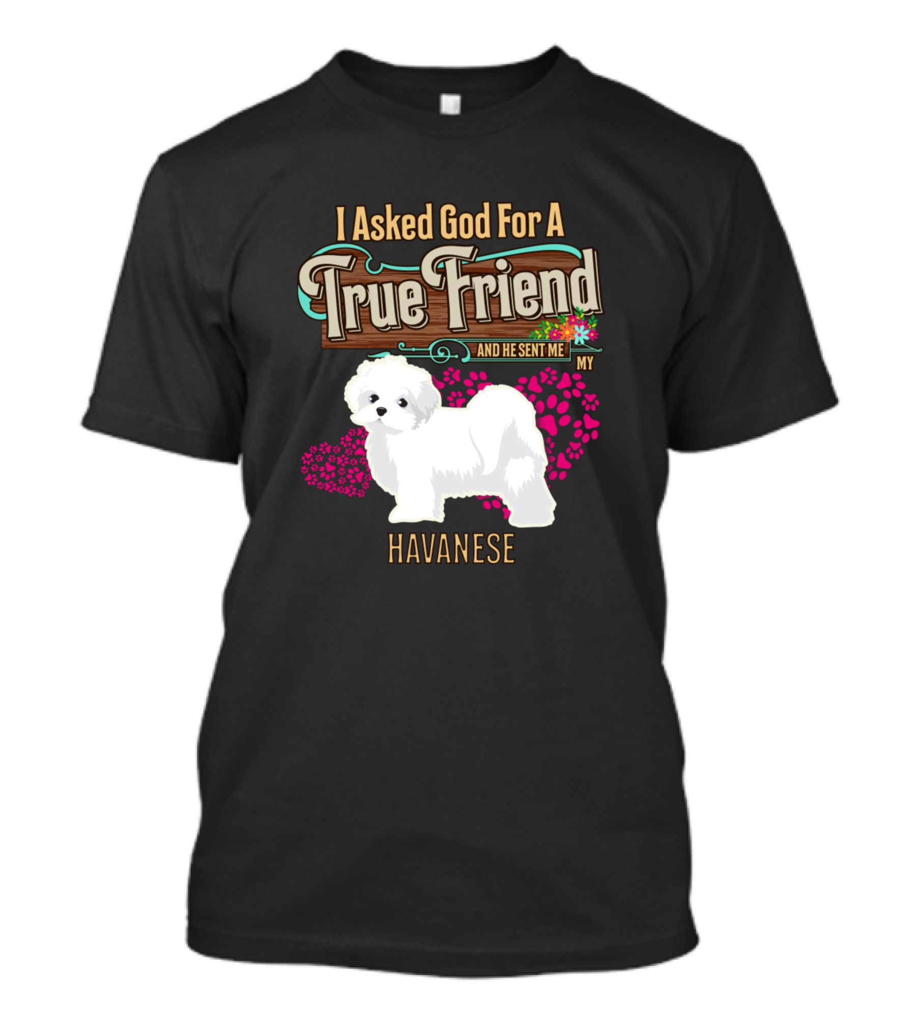I Asked God For A True Friend And He Sent Me My Havanese T-Shirt
