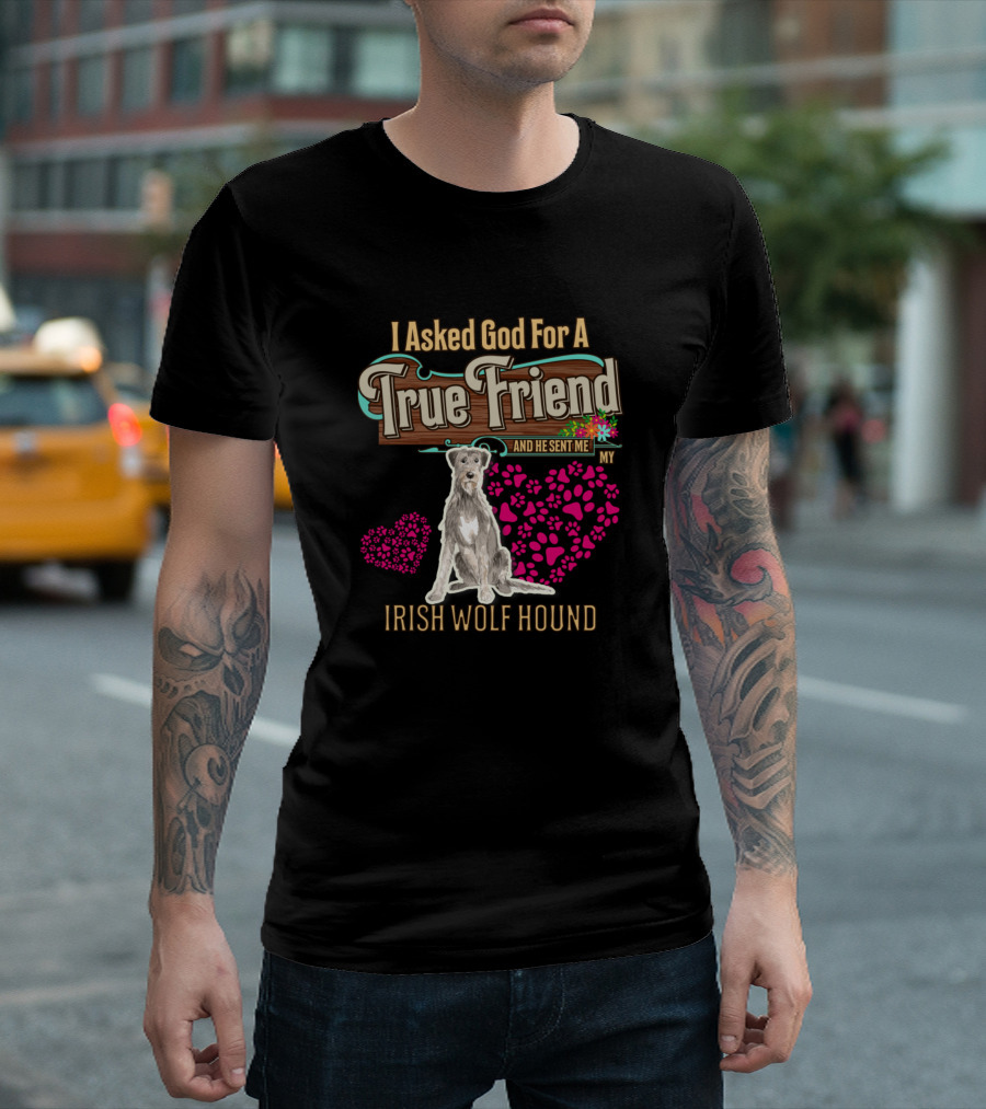 I Asked God For A True Friend And He Sent Me My Irish Wolf Hound T-Shirt