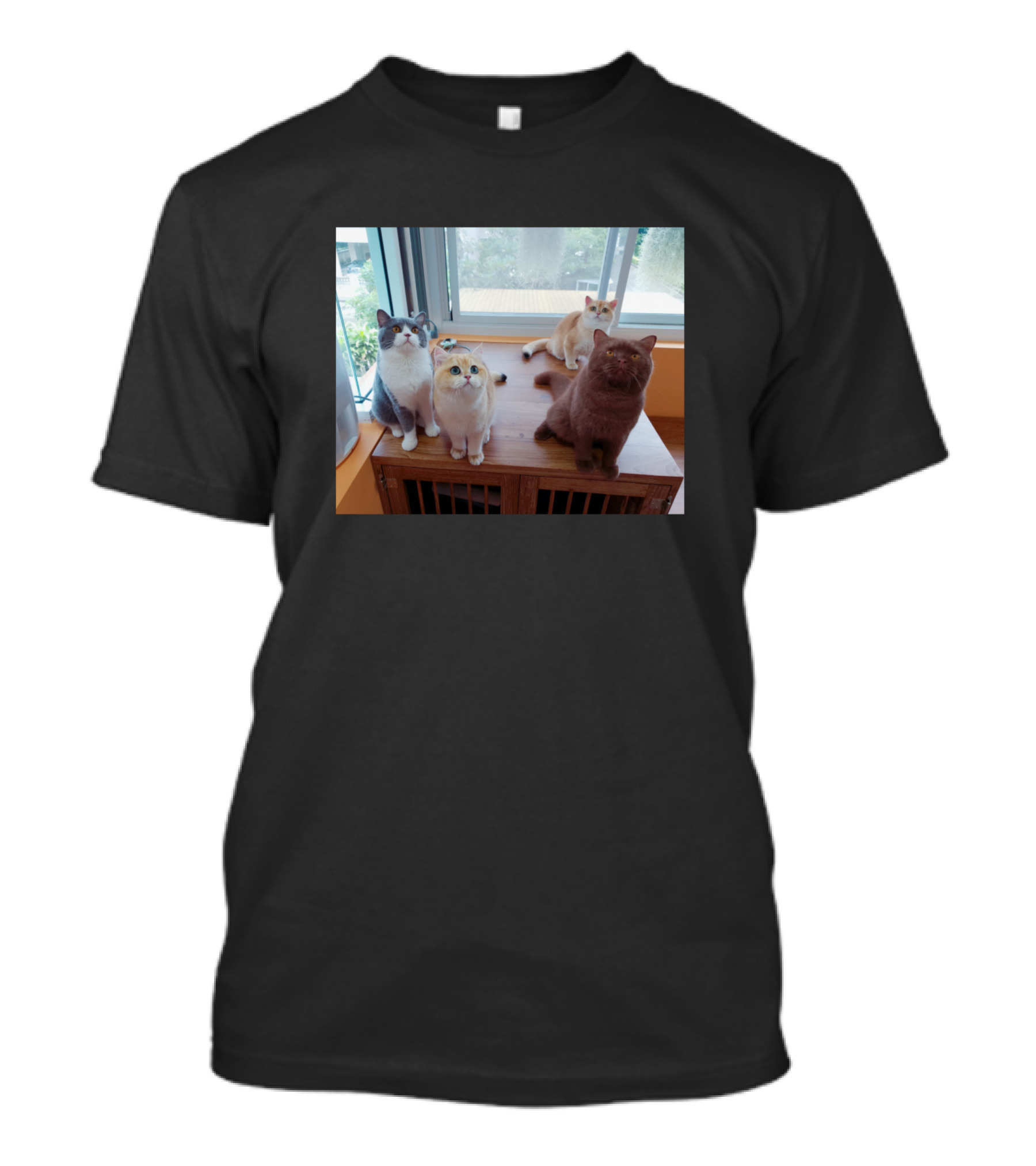 The Cute Cats Team By The Window T-Shirt