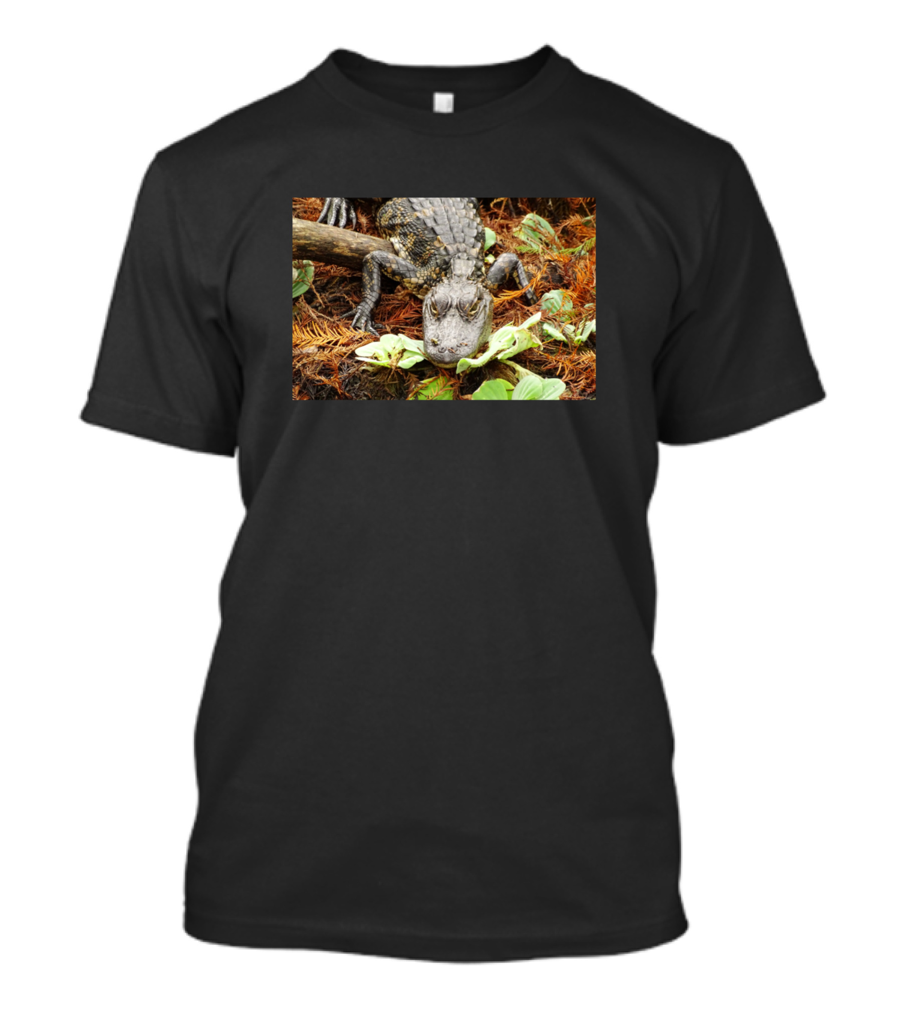 Baby Dragon Reptile In Forest Setting T-Shirt