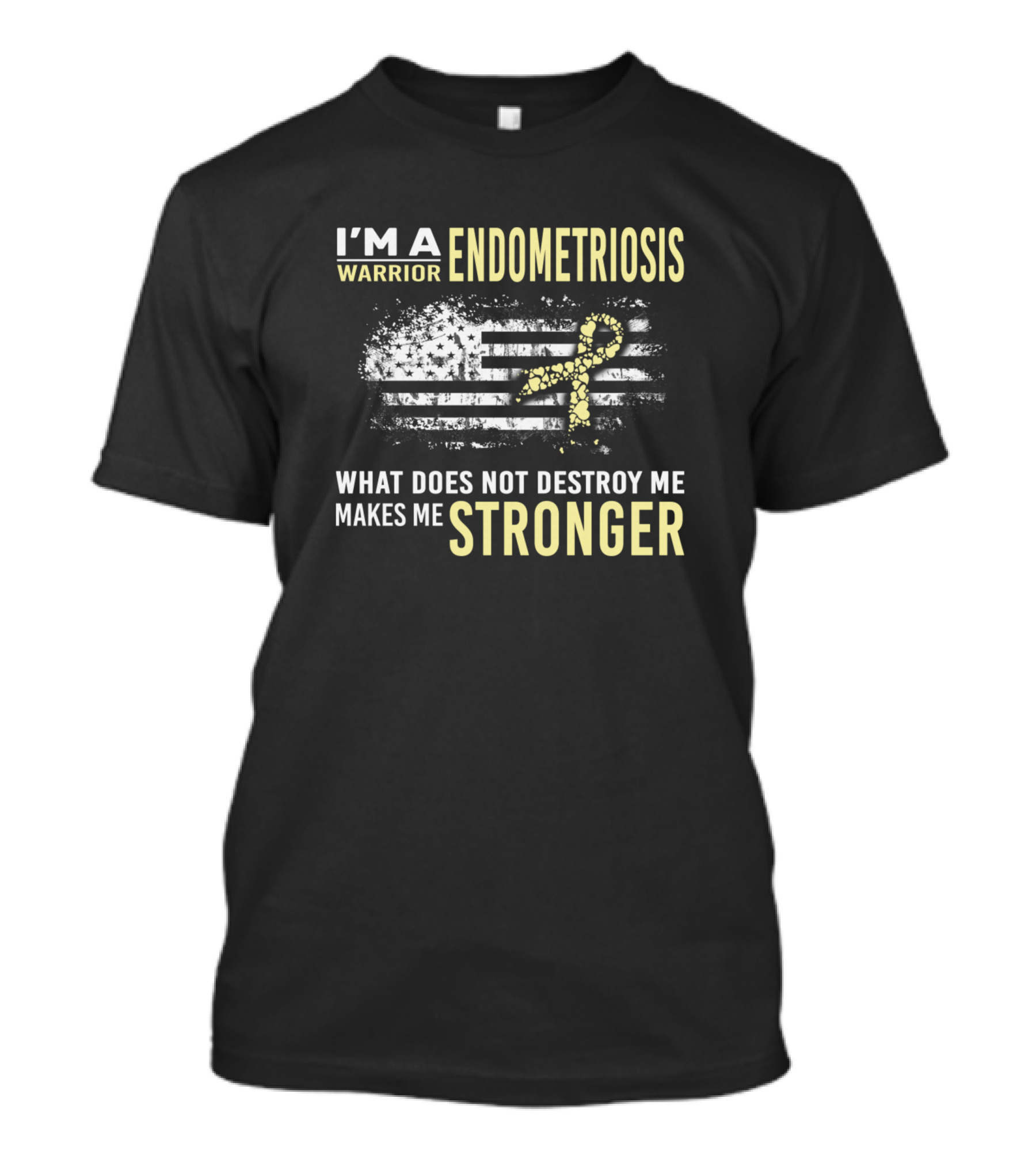 I'm A Warrior Endometriosis What Does Not Destroy Me Makes Me Stronger T-Shirt