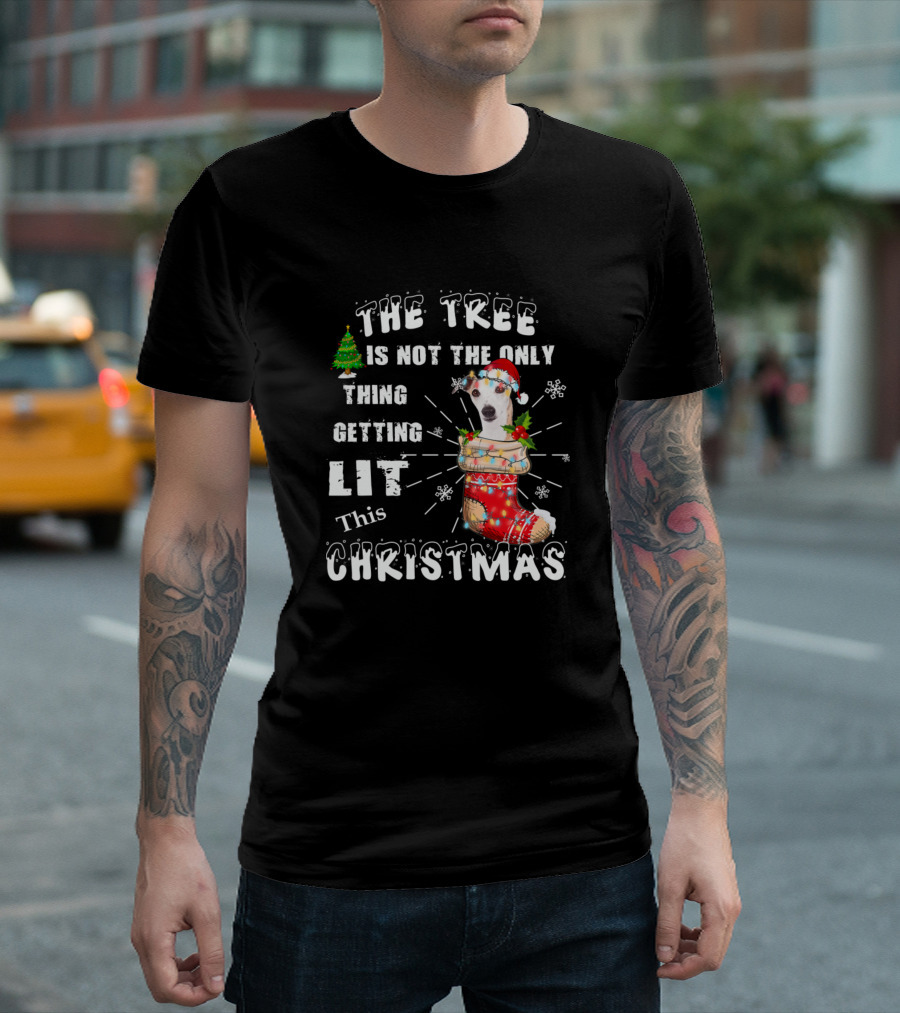 The Tree Is Not The Only Thing Getting Lit This Christmas Whippet in Festive Stocking T-Shirt