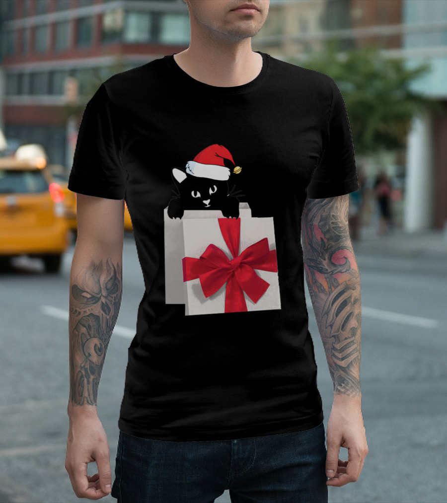 Black Cat Christmas Hat Present Funny Cat Lover T-Shirt