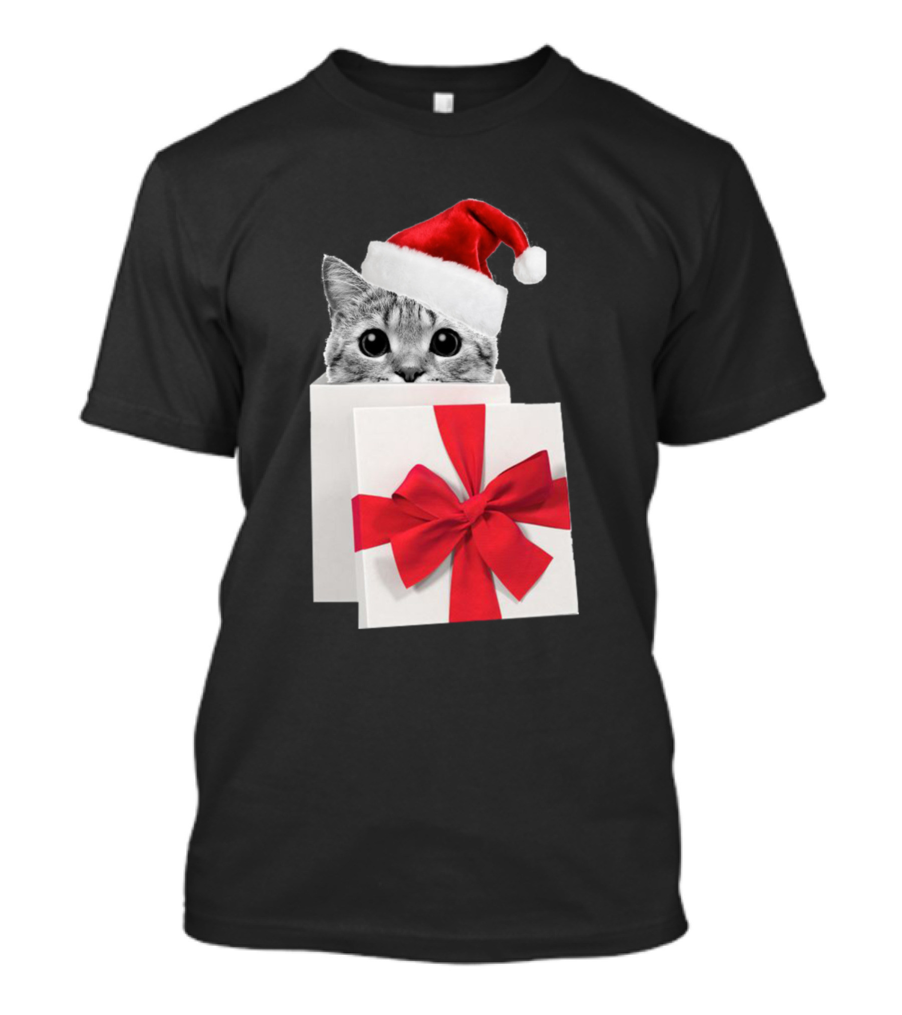 Cat Santa Hat Christmas Gift Box T-Shirt