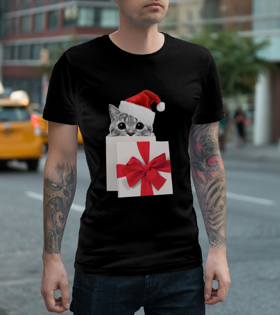 Cat Santa Hat Christmas Gift Box T-Shirt