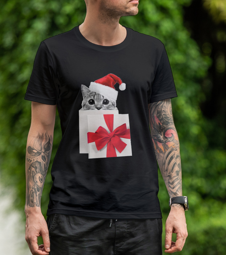 Cat Santa Hat Christmas Gift Box T-Shirt