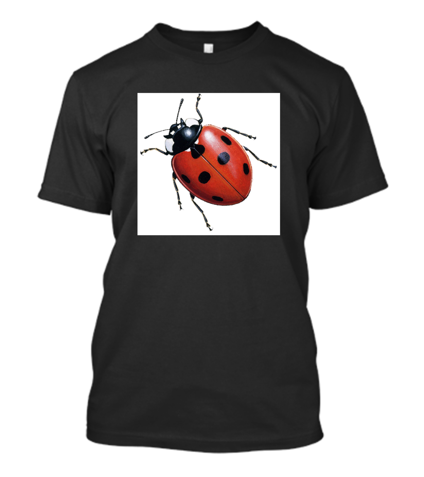 North American Ladybug Red And Black Insect T-Shirt