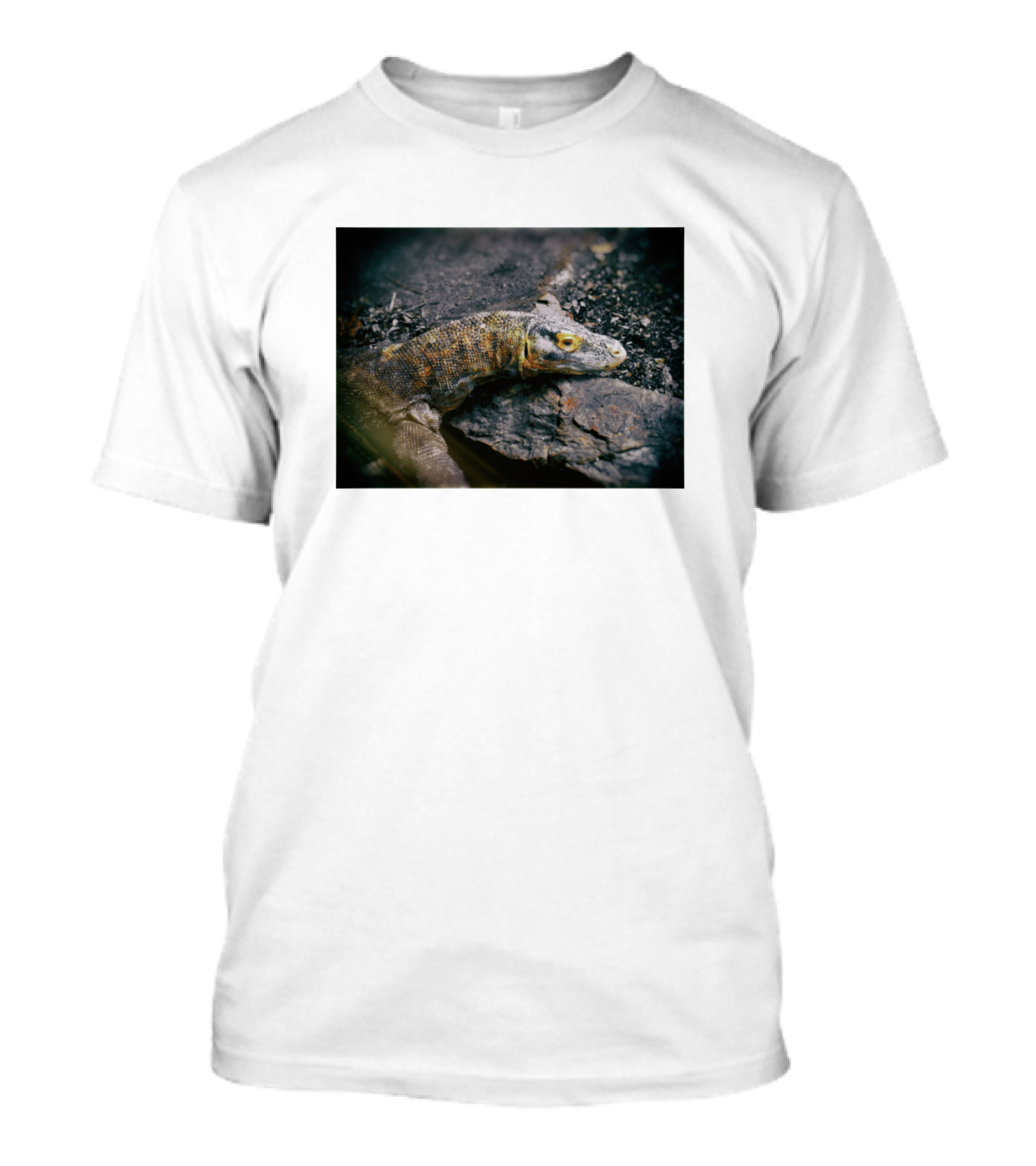 Komodo Dragon Resting On Rocky Terrain T-Shirt