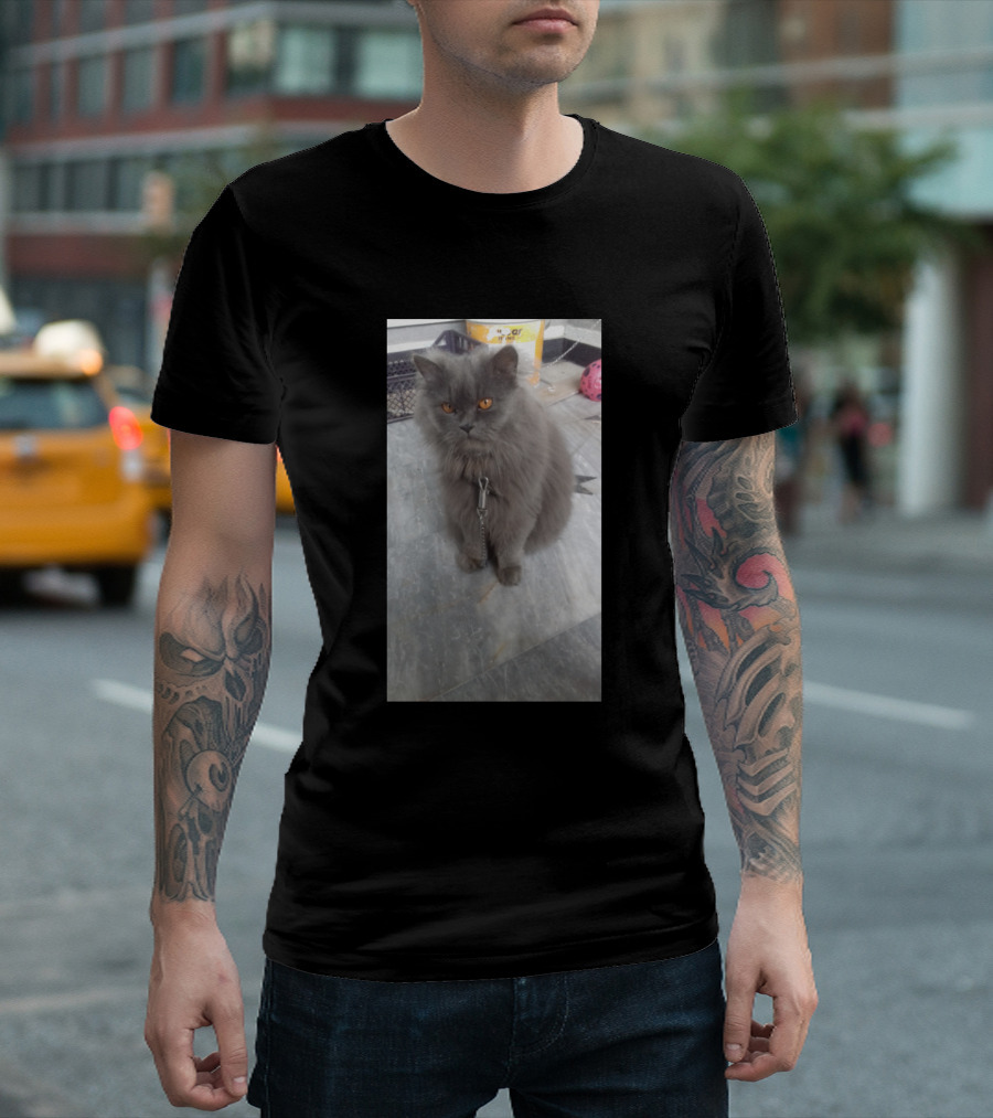 Orange Eyes Gray Cat on Leash T-Shirt