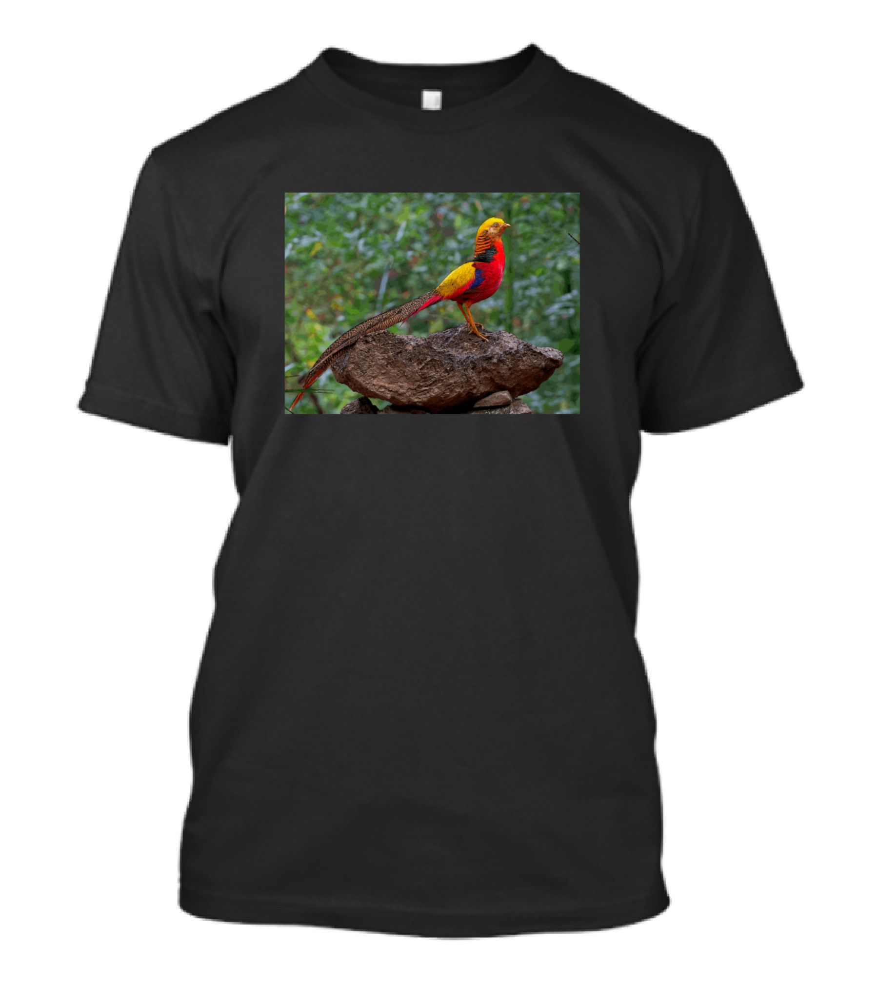 Golden Pheasant On Rock In Woodland Background T-Shirt