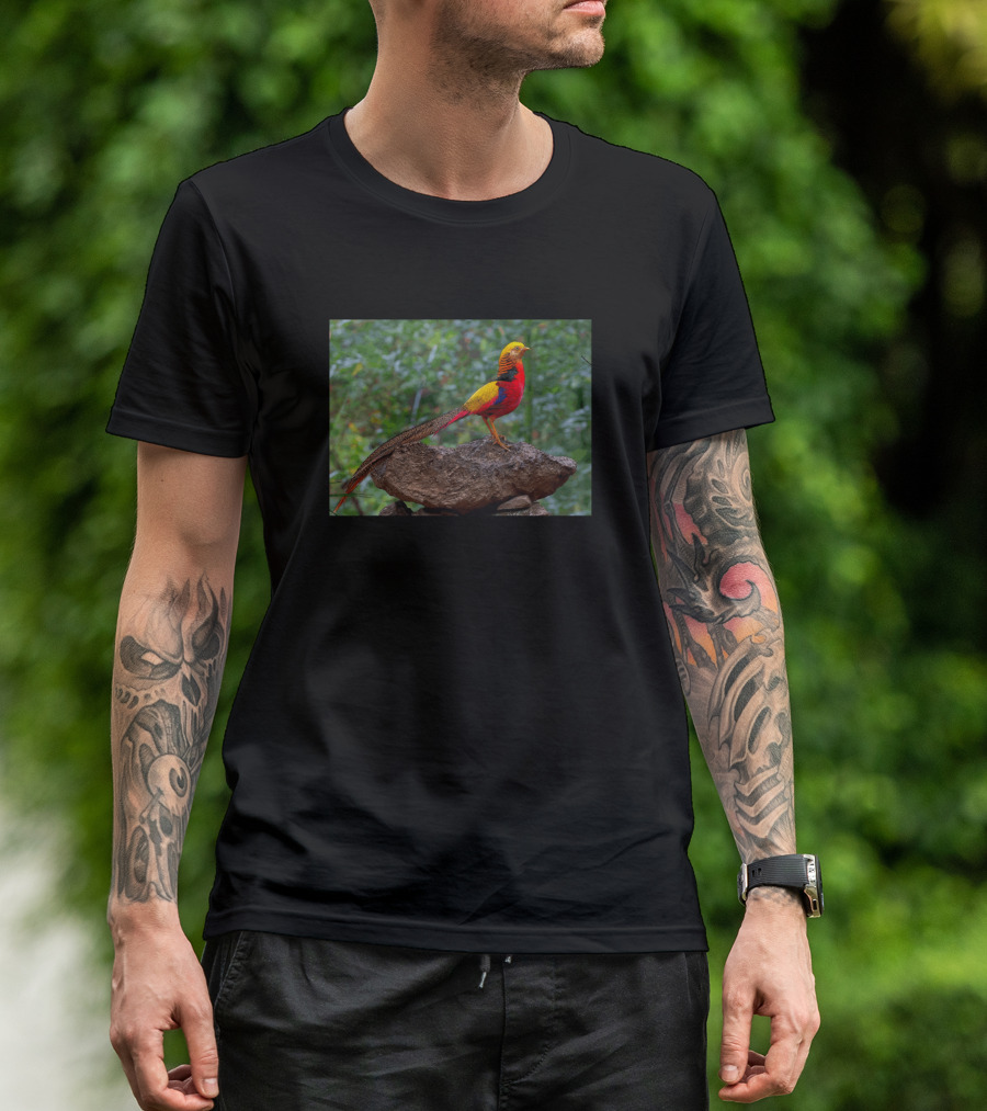 Golden Pheasant On Rock In Woodland Background T-Shirt