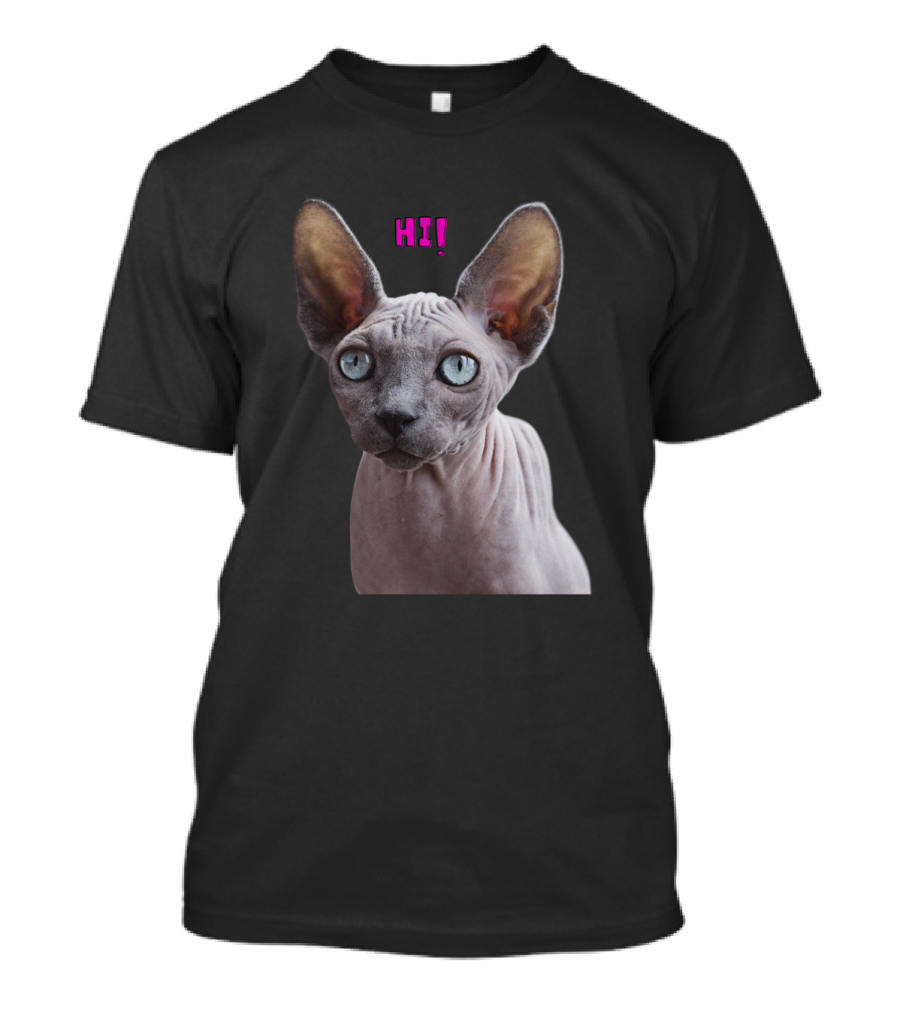 Sfinks Hairless Cat With Hi Text T-Shirt