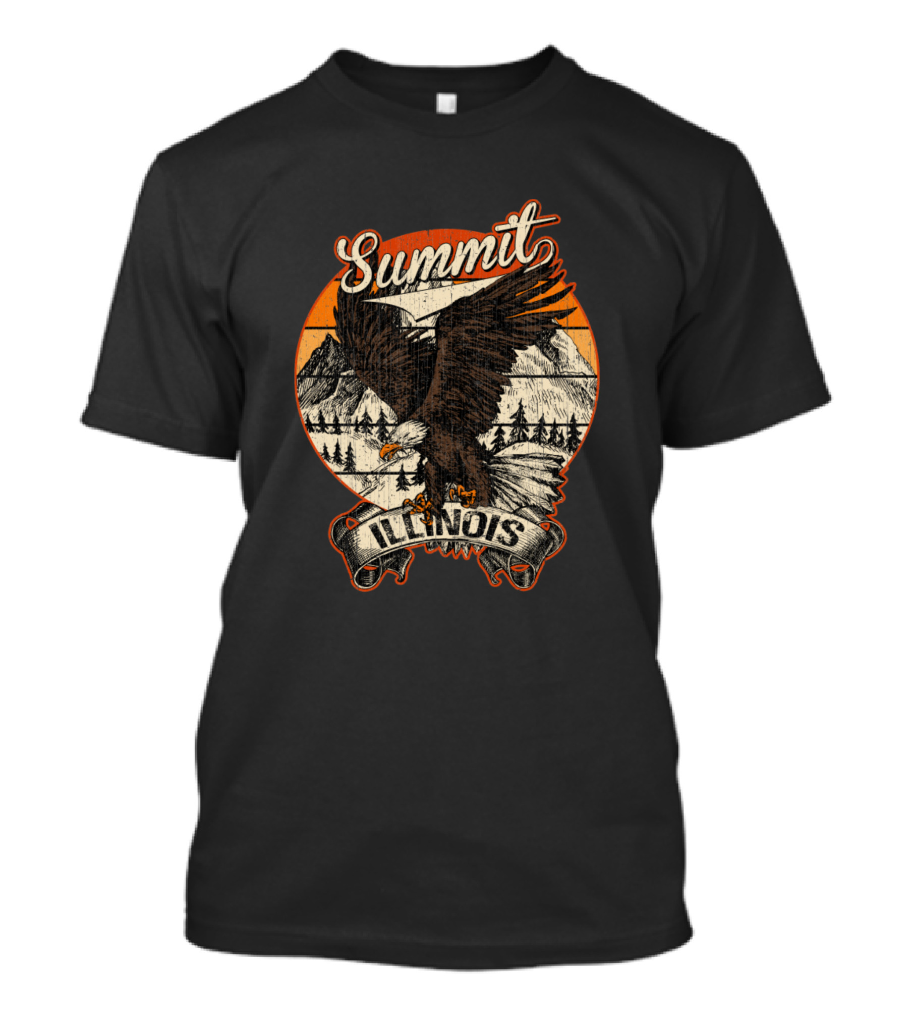 Summit Illinois Bald Eagle Retro Vintage Aesthetic Nature Scene T-Shirt