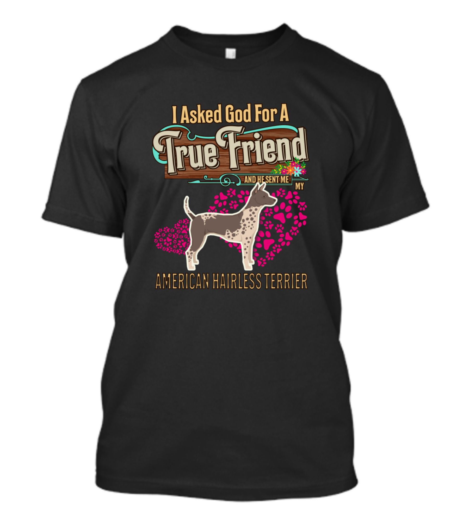 I Asked God For A True Friend And He Sent Me My American Hairless Terrier T-Shirt