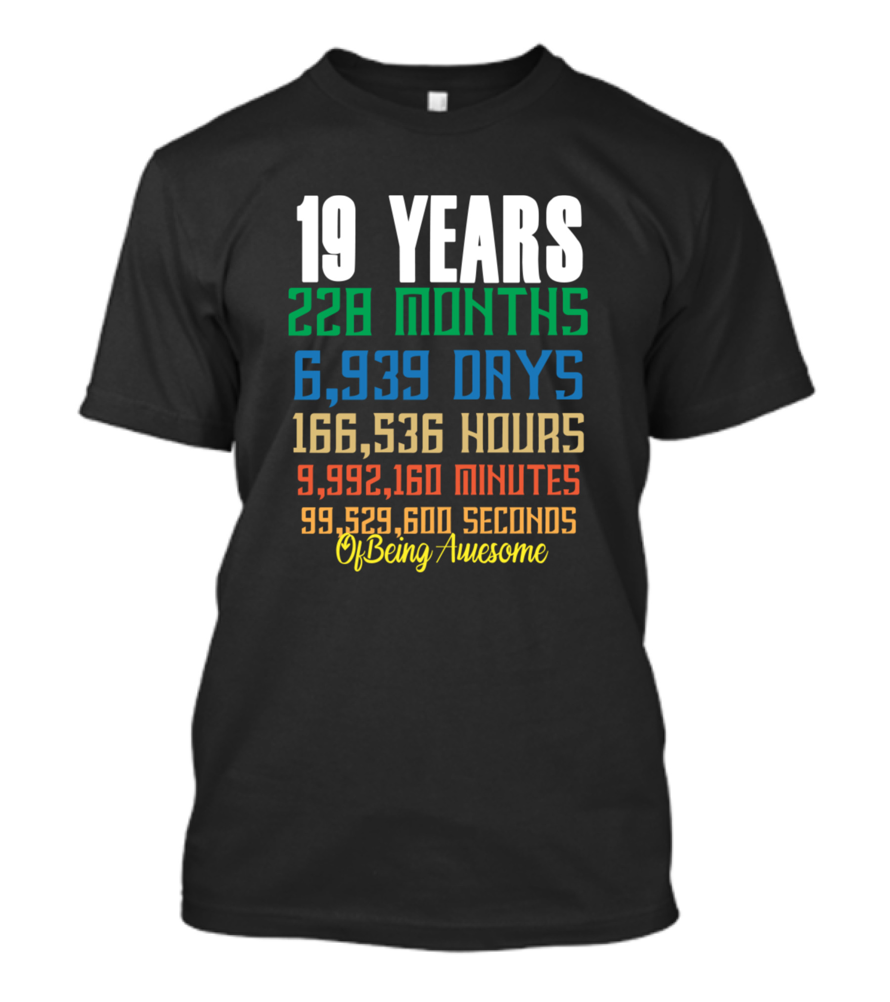 19 Years Anniversary Celebration 228 Months 6,939 Days Of Being Awesome T-Shirt