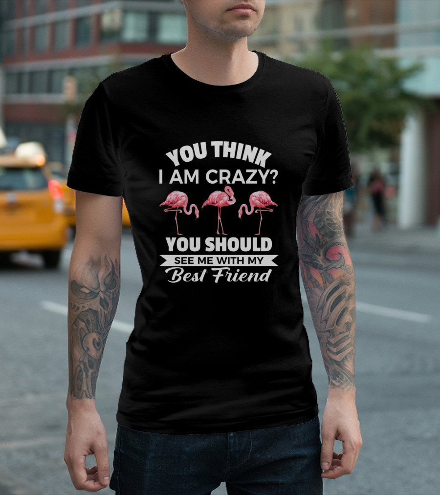 You Think I Am Crazy? See Me with My Best Friend Flamingos T-Shirt