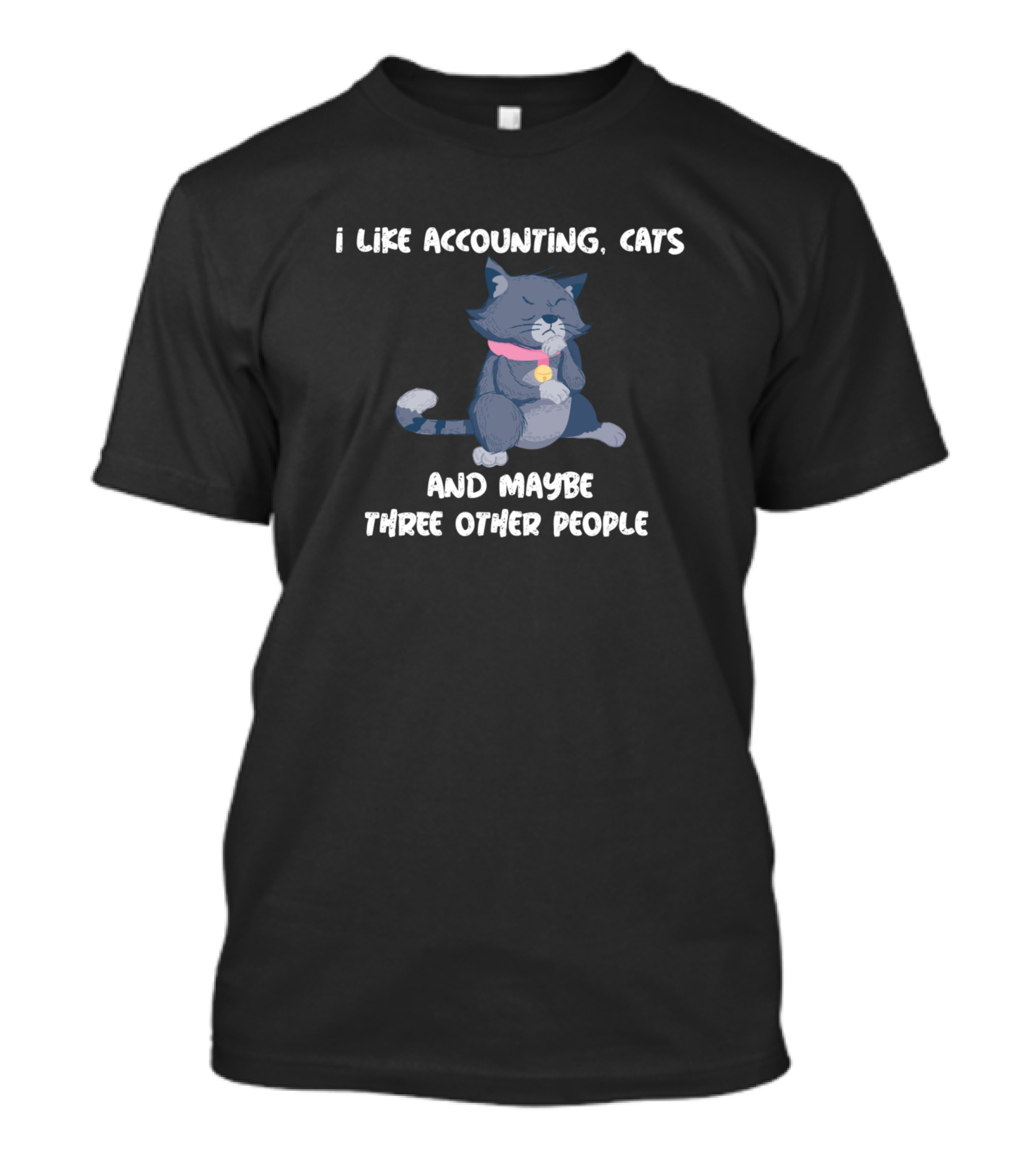 I Like Accounting Cats And Maybe Three Other People T-Shirt