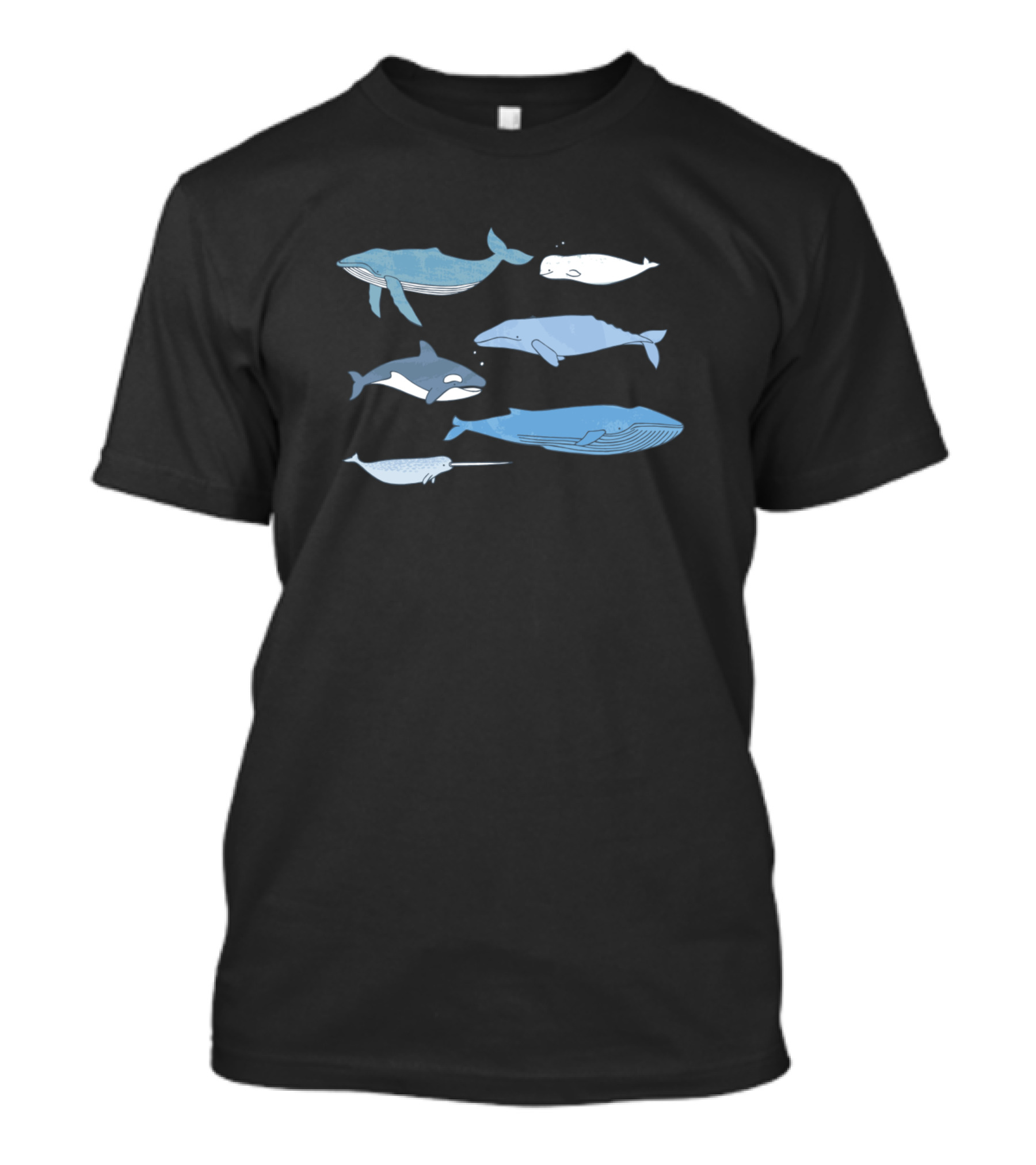 Cute Whale Sea Animal Education Drawing Variety T-Shirt