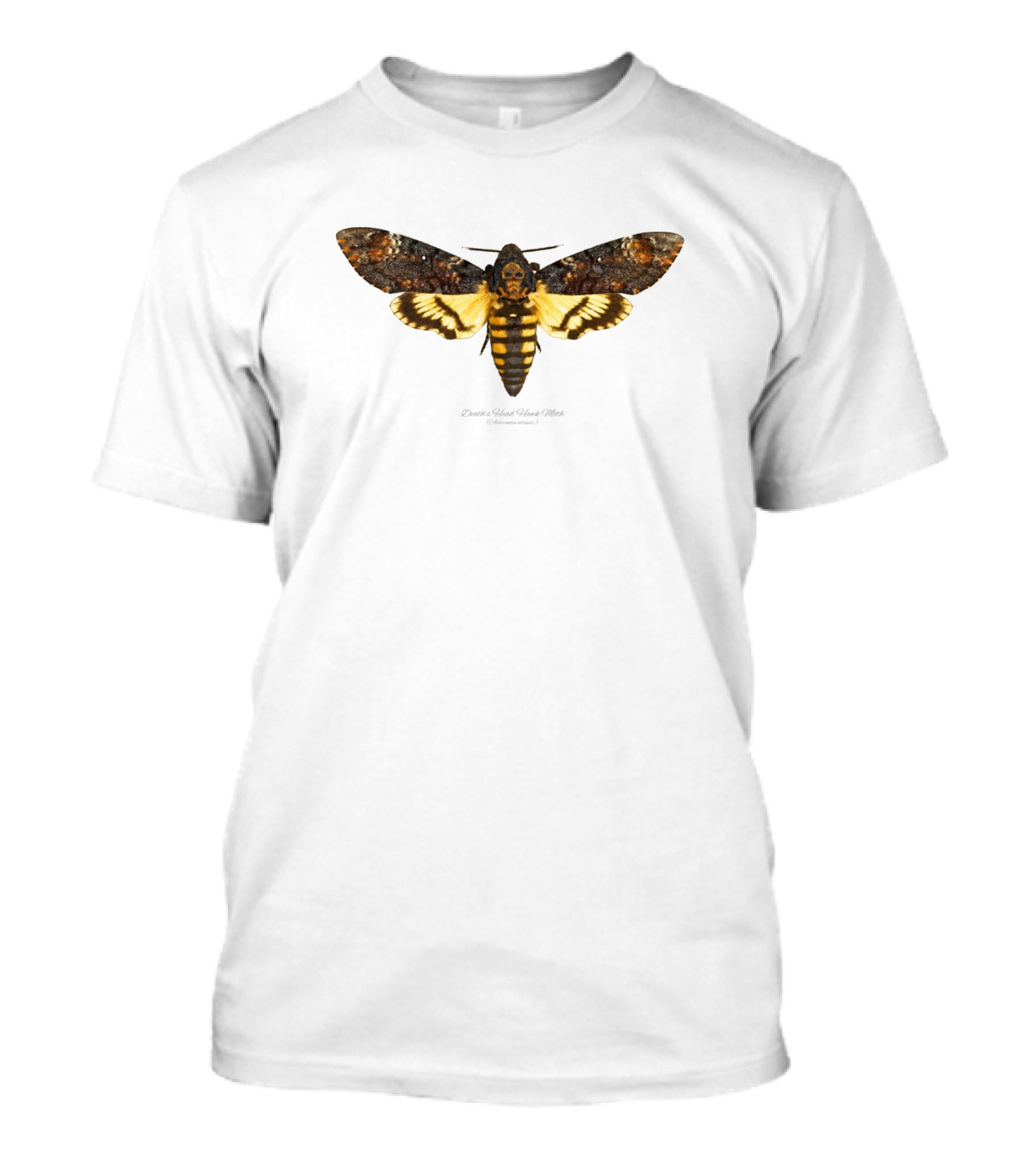 Deaths Head Hawk Moth Acherontia Atropos Watercolor T-Shirt