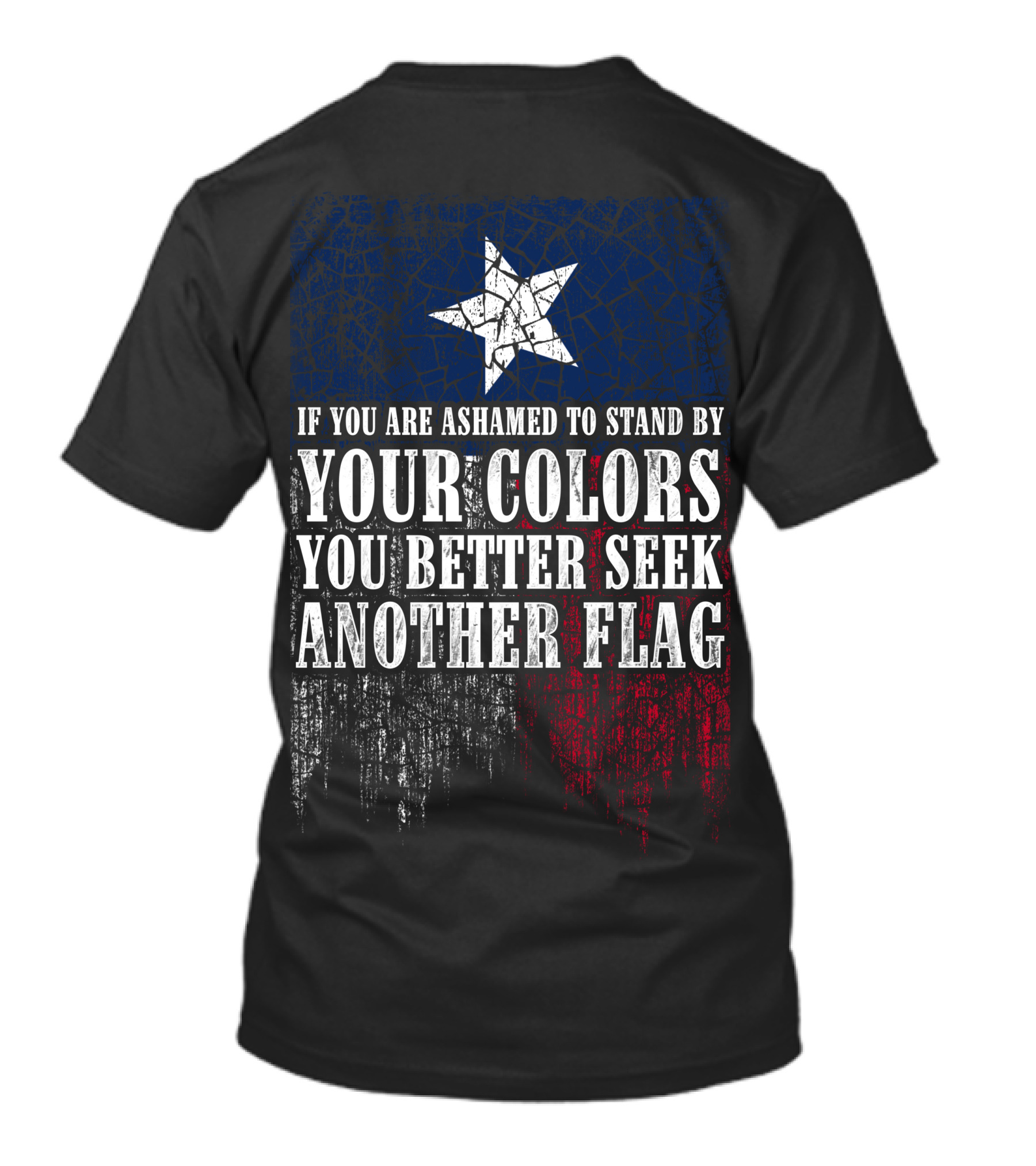 If You Are Ashamed To Stand By Your Colors You Better Seek Another Flag T-Shirt