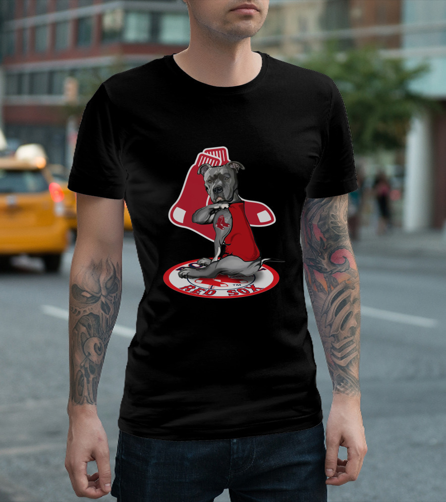 Boston Red Sox Dog Illustration With Team T-Shirt