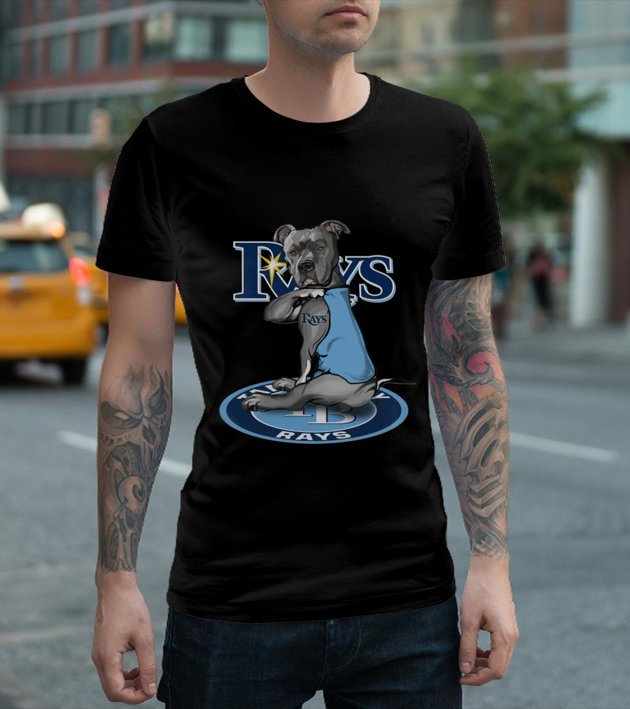 Rays Dog With Tampa Bay Rays Logo And 27-Tampa Bay Rays Circle T-Shirt