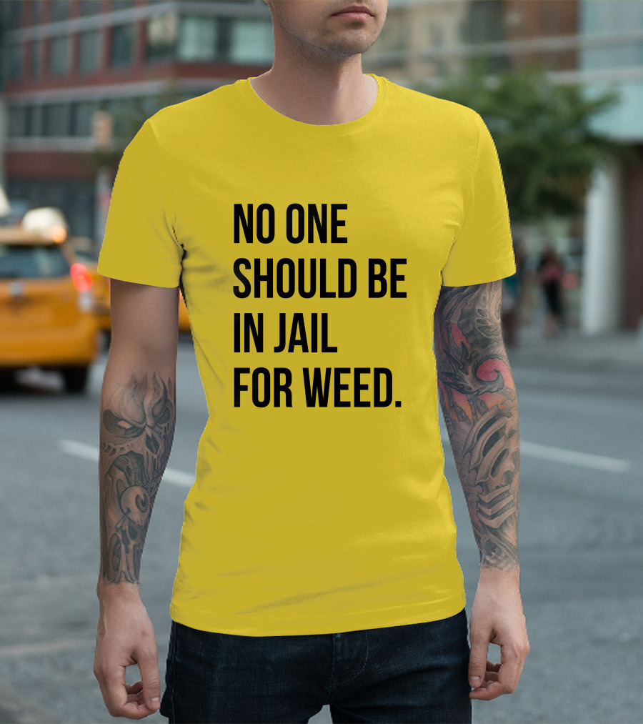 No One Should Be In Jail For Weed Gisele Barreto Fetterman We Go High Shop T-Shirt