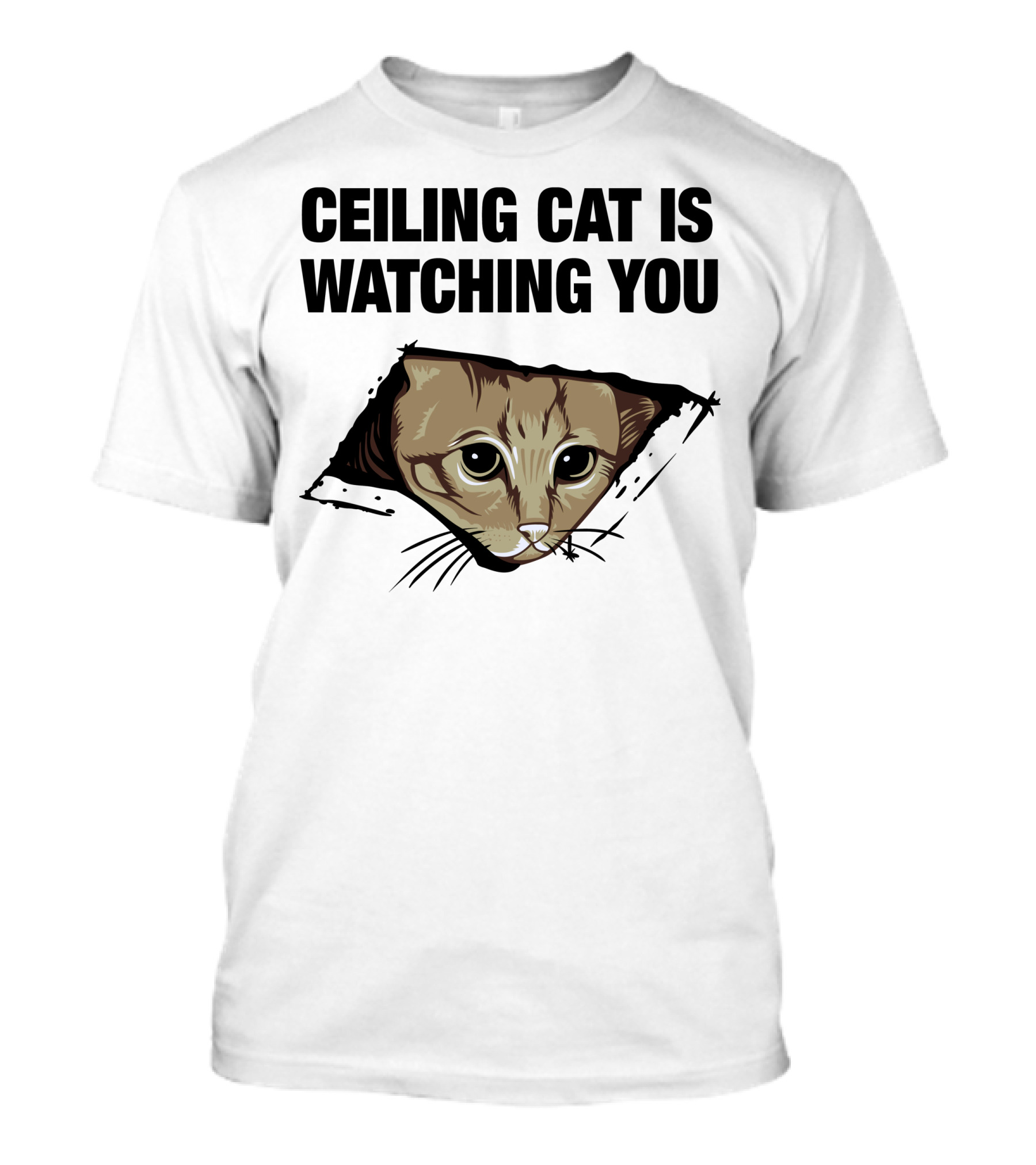 CEILING CAT IS WATCHING YOU T-Shirt