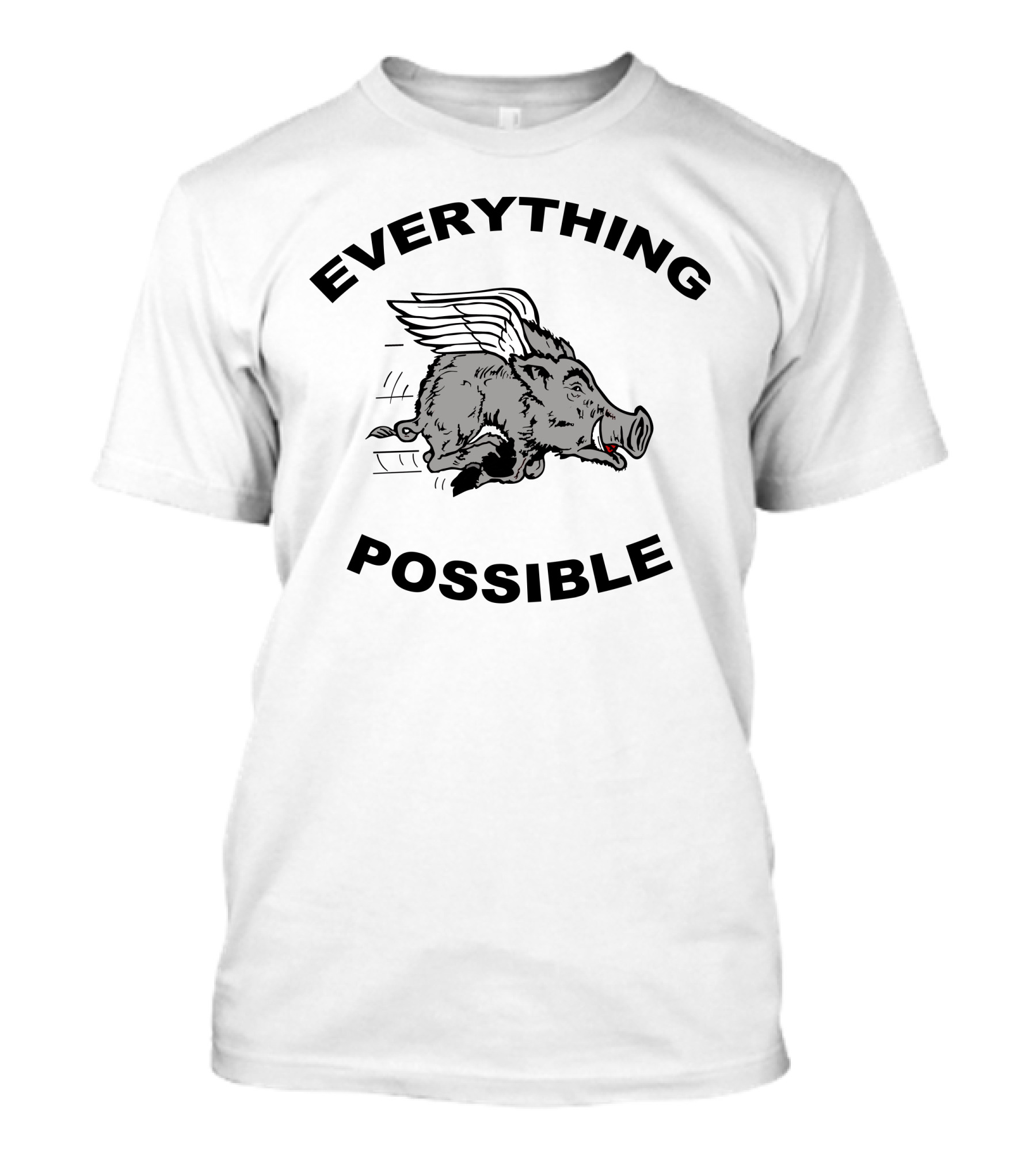 EVERYTHING POSSIBLE Flying Pig T-Shirt