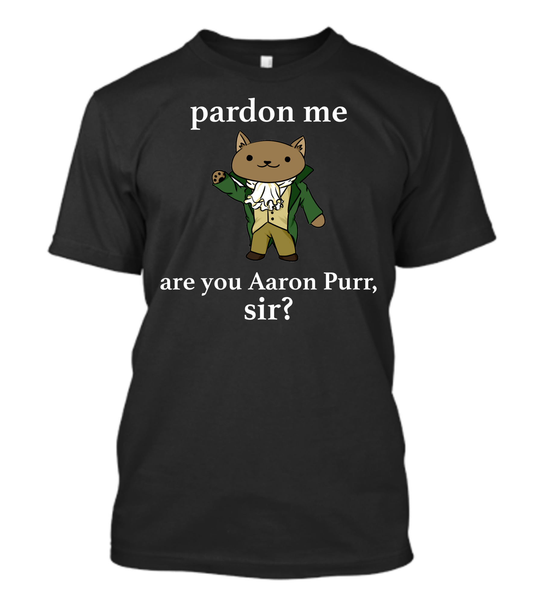 Hamilcat Pardon Me Are You Aaron Purr Sir T-Shirt