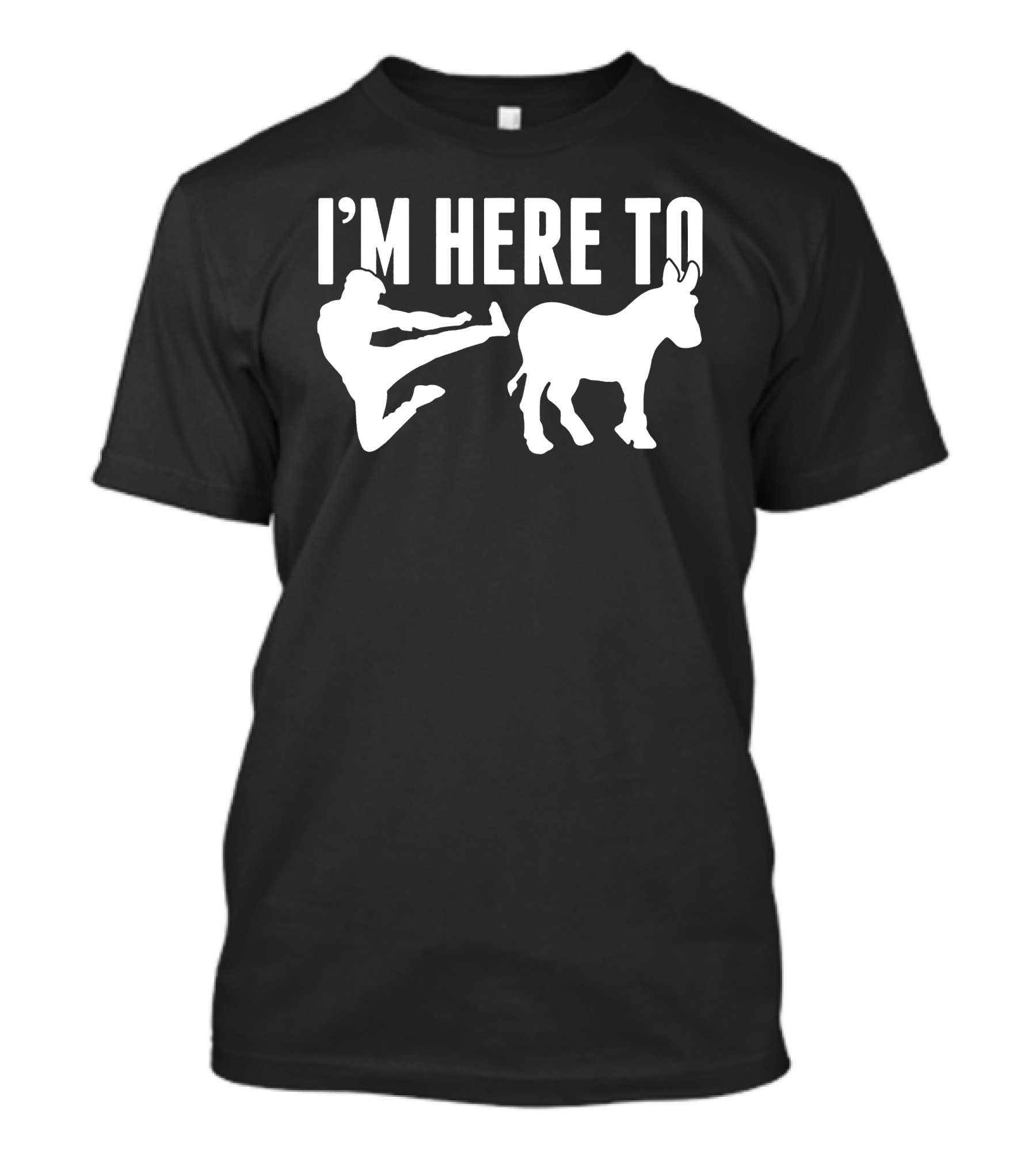 I’m Here To Kick Donkey T-Shirt