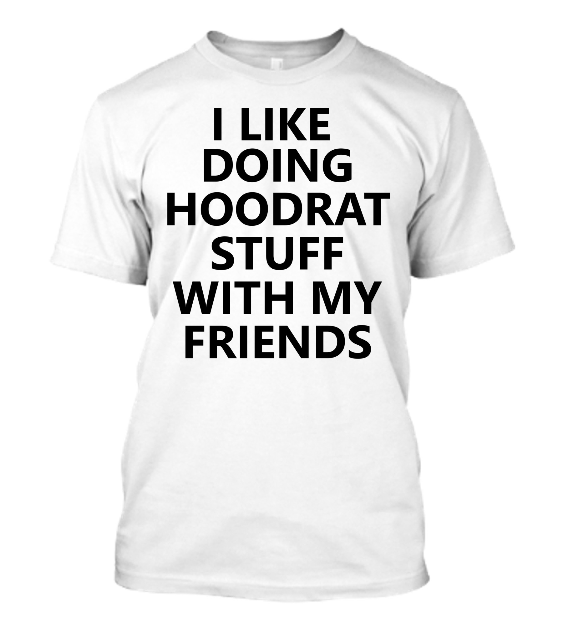 I Like Doing Hoodrat Stuff With My Friends T-Shirt