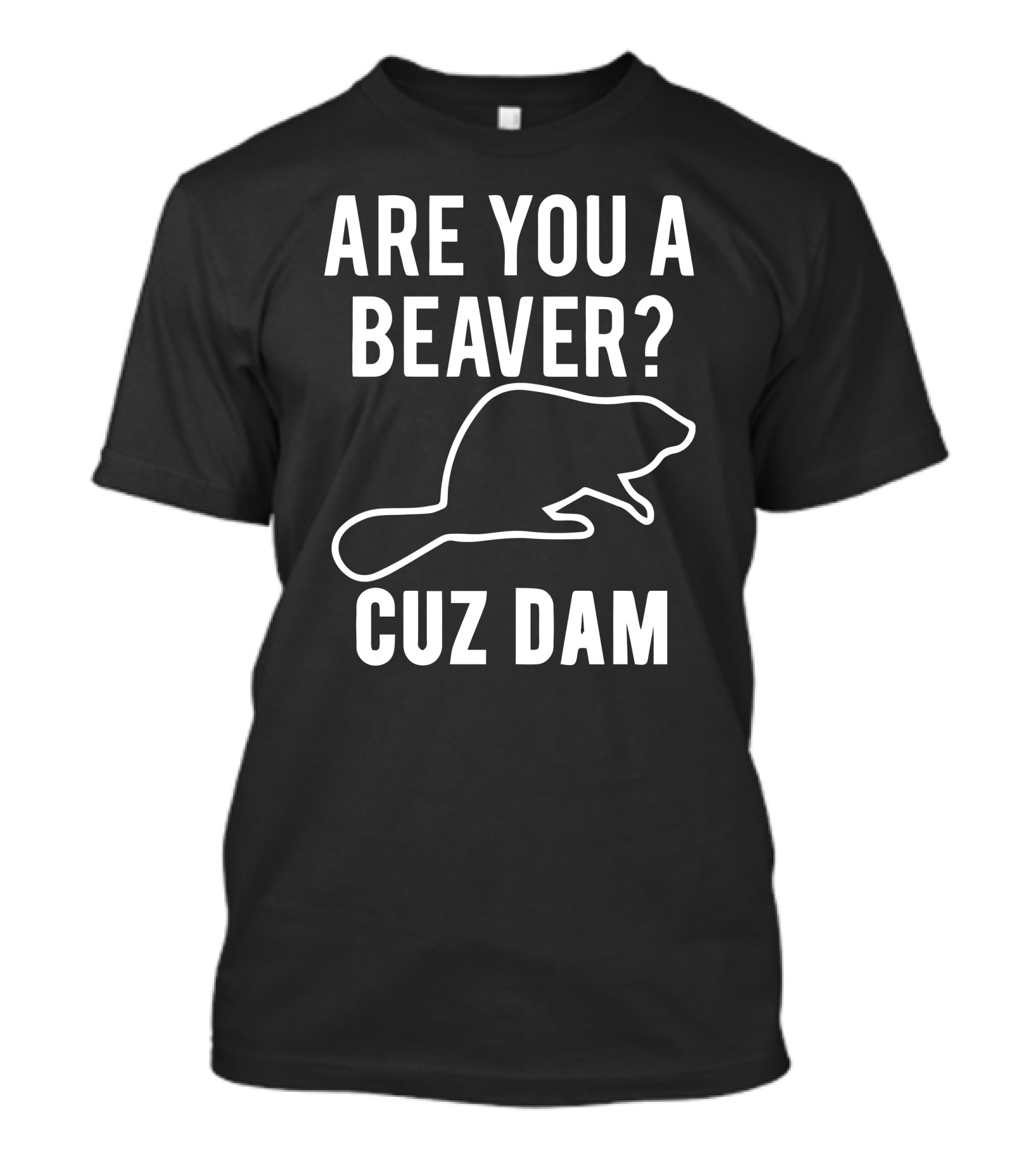 Are You A Beaver Cuz Dam T-Shirt