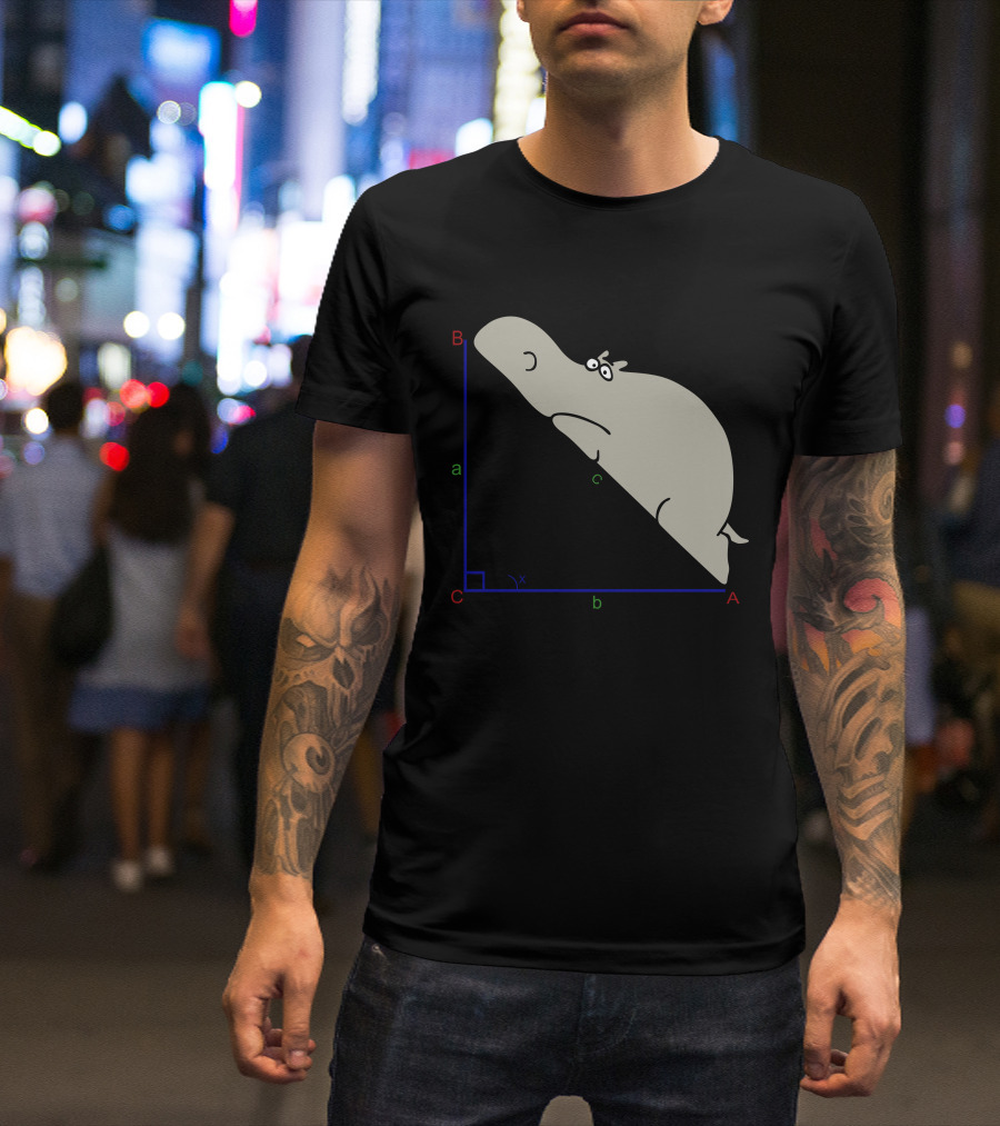 Hippopotenuse Triangle Funny Opposite Adjacency Math Humor T-Shirt