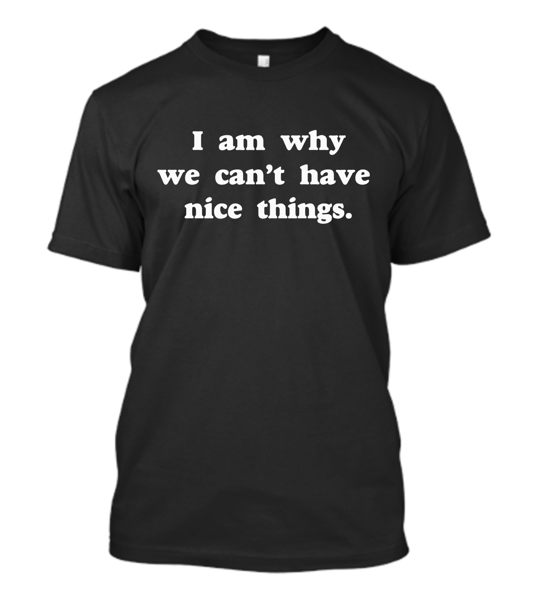 I Am Why We Can't Have Nice Things T-Shirt