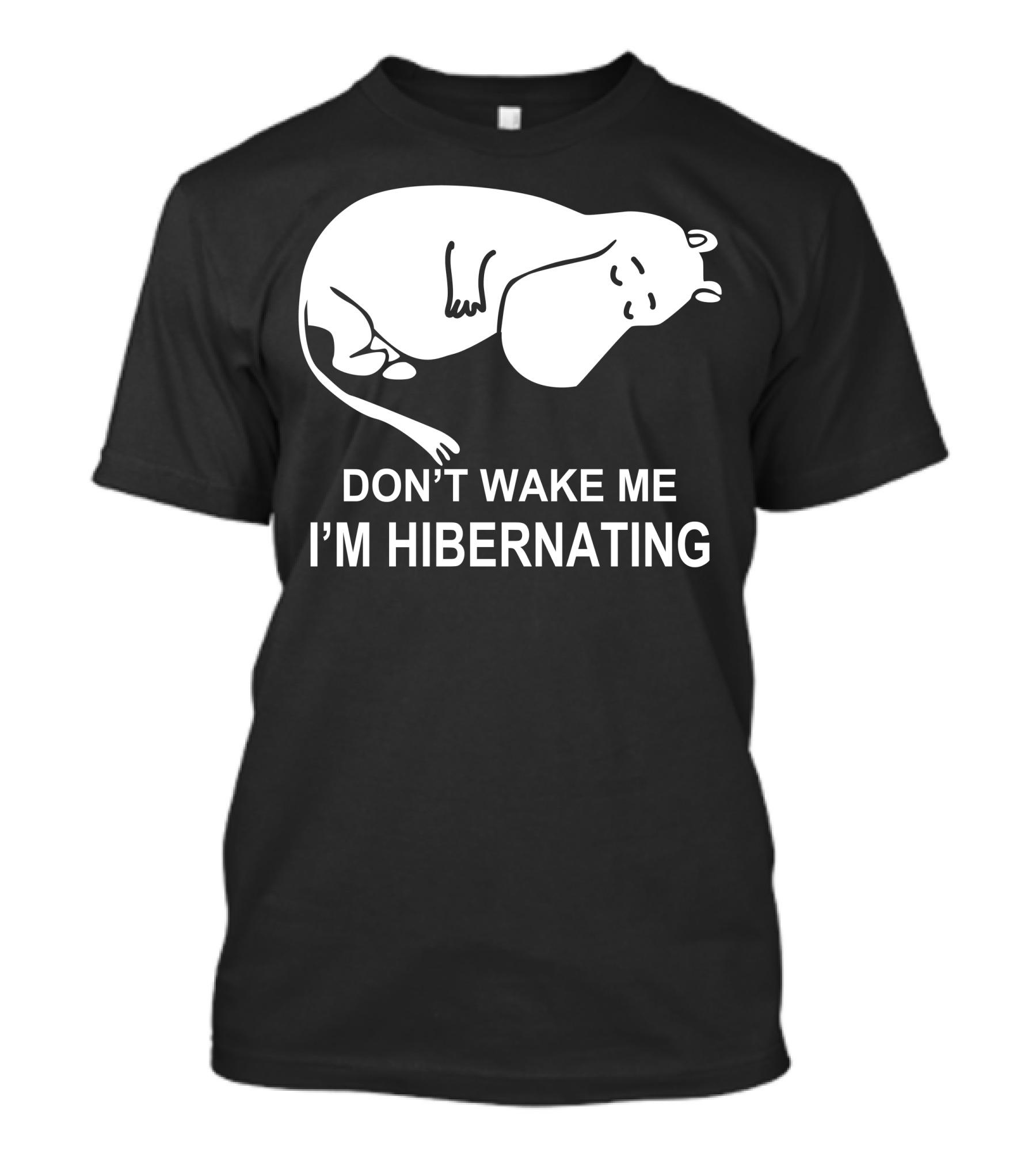 Moomin Don't Wake Me I'm Hibernating T-Shirt