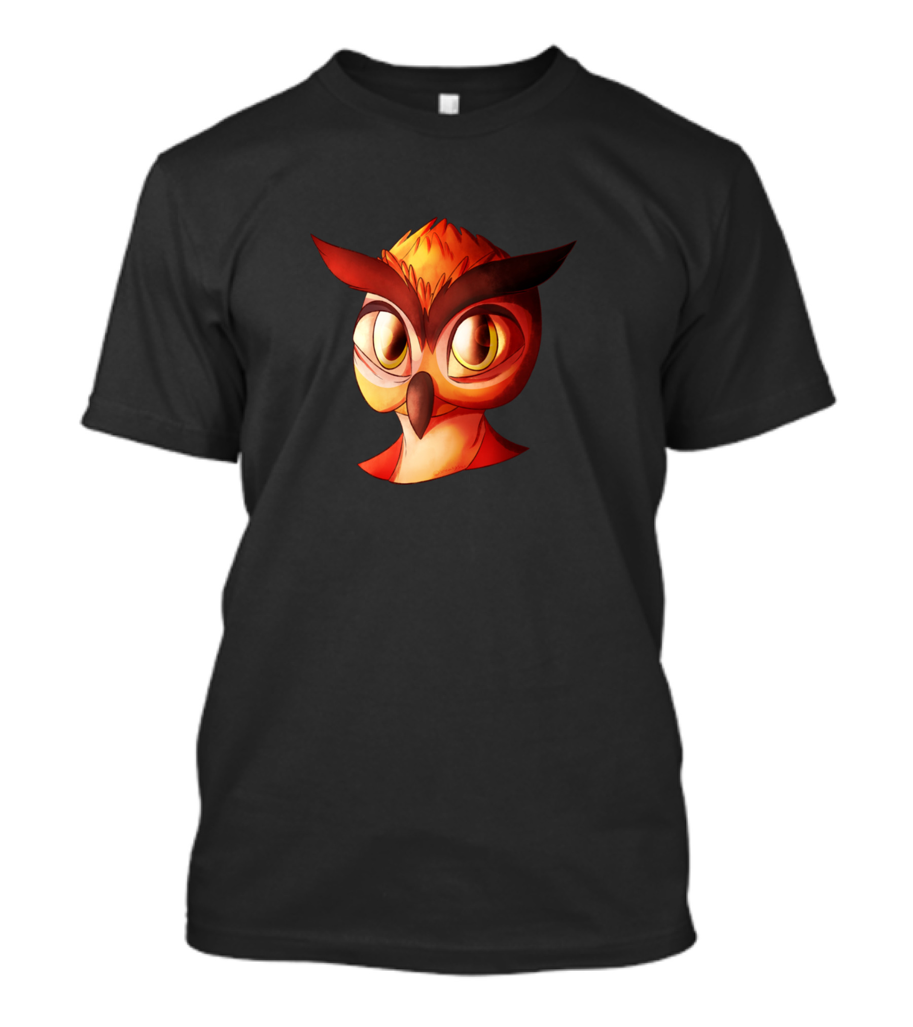 Brid Funny Owl Character With Big Eyes And Bold Colors T-Shirt