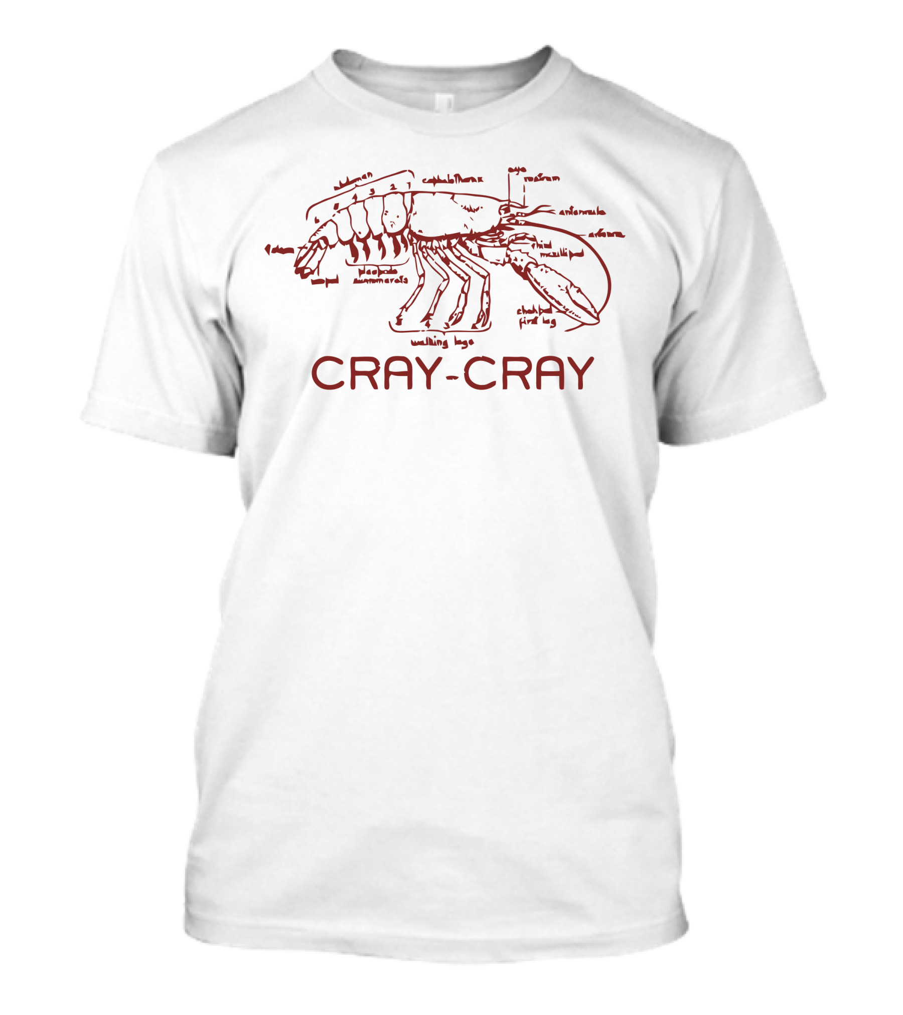 CRAY-CRAY Anatomical Lobster Sketch T-Shirt